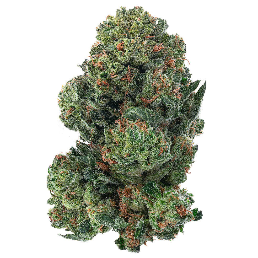 Alien OG Indoor - 28 Grams - Indica
