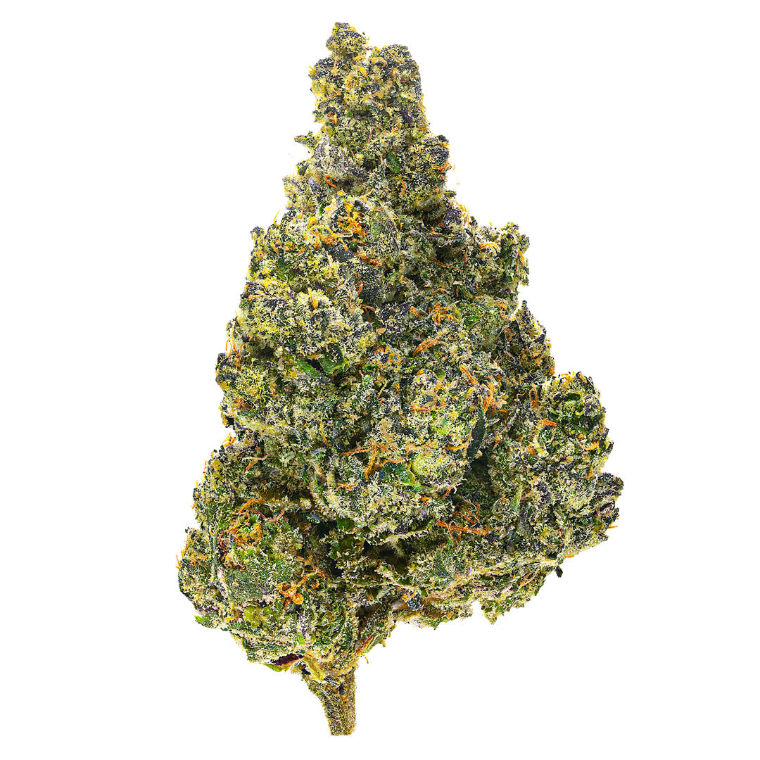 Lato Pop - 4 Grams - Hybrid
