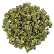 Gorilla Glue - 14 Grams Littles - Indica