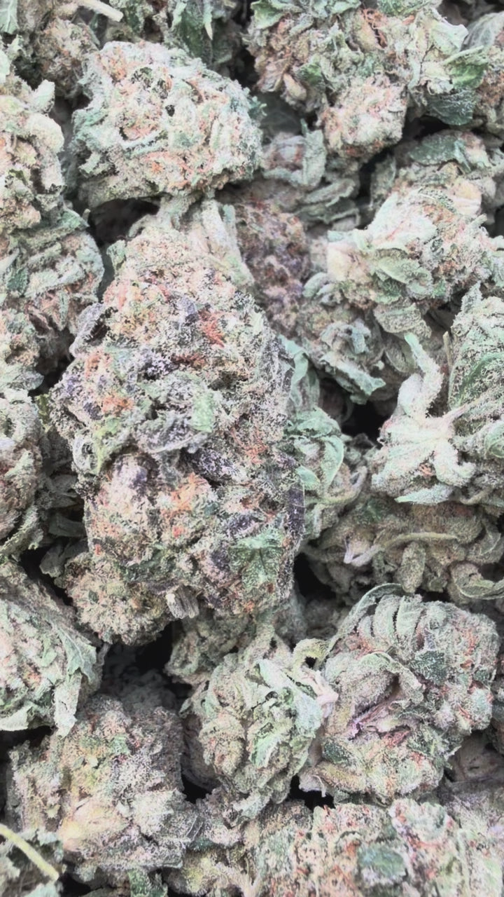 Load video: Sherbet &amp; Haze - Bulk - Sativa