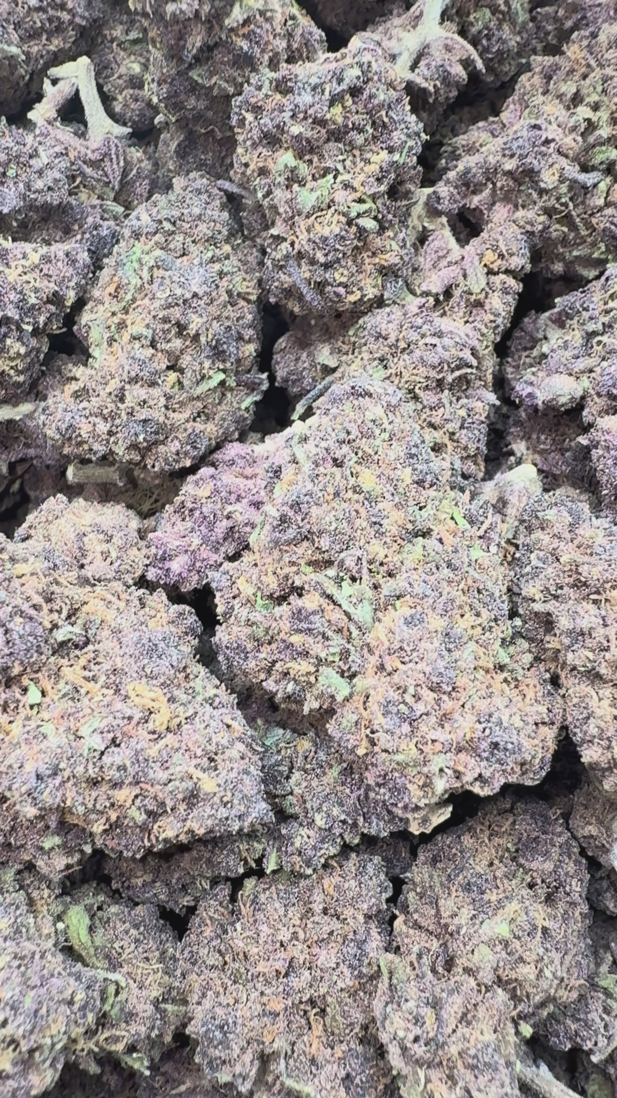 Load video: Forbidden Fruit - Bulk Littles - Indica