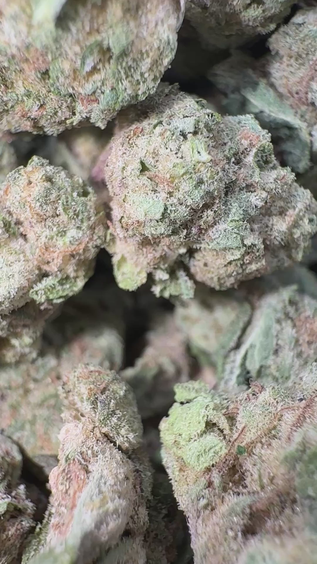 Load video: Frozen Dessert - Bulk Littles - Indica