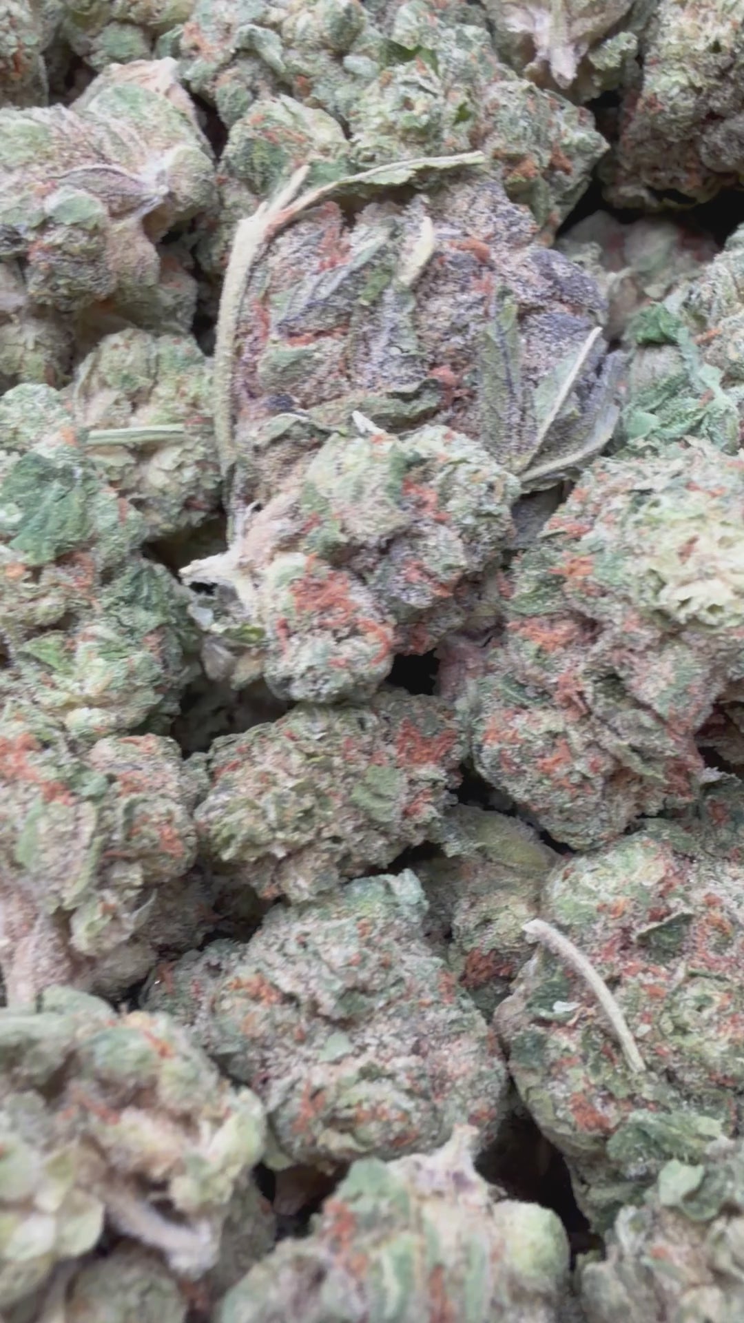 Load video: Jet Fuel Gelato Mediums - Bulk Mediums - Hybrid