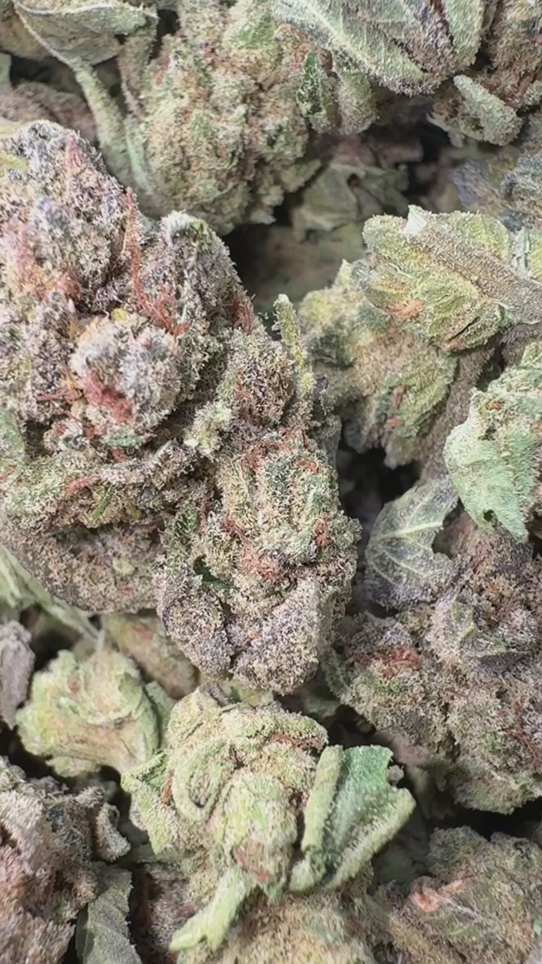 Load video: Cherry Warheads - Bulk Littles - Sativa