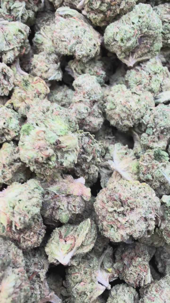 Load video: Super Runtz Minis - Bulk Minis - Hybrid