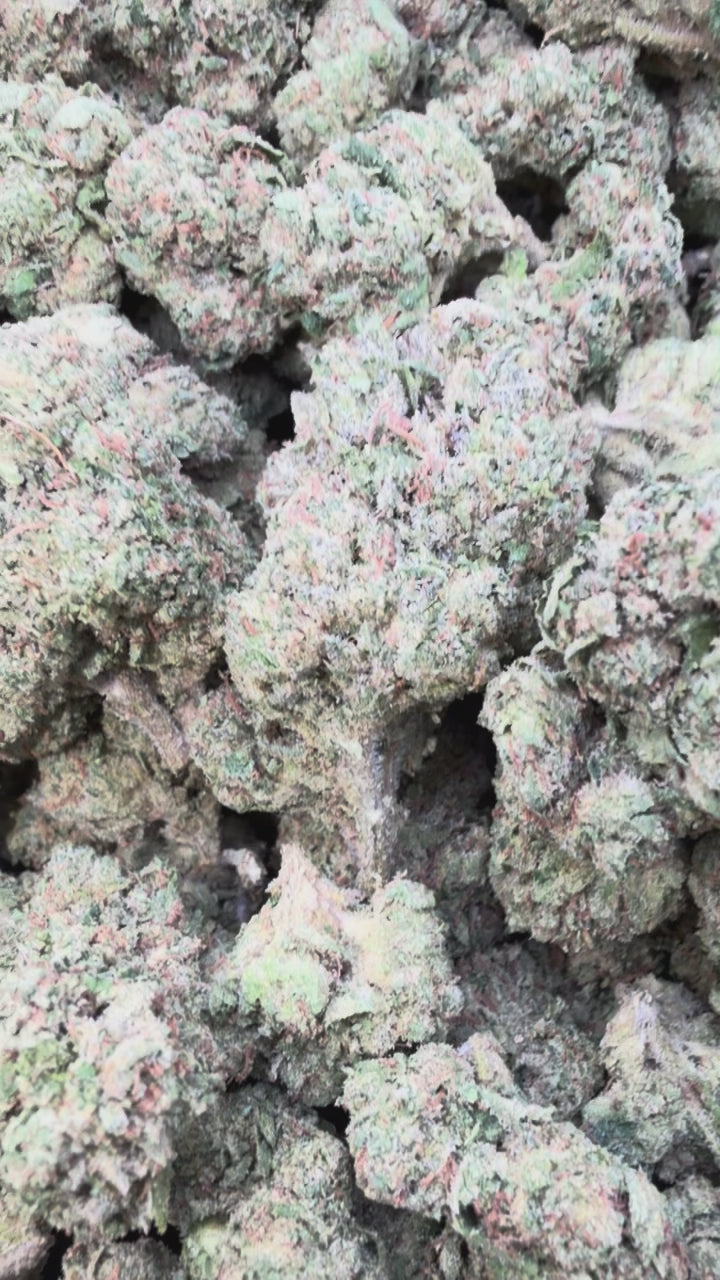 Load video: Gelato 33 - Bulk - (Hybrid)
