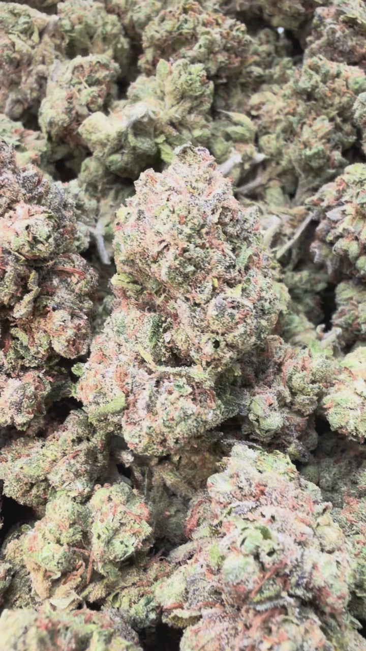 Load video: Mochi Gelato - Bulk - Hybrid