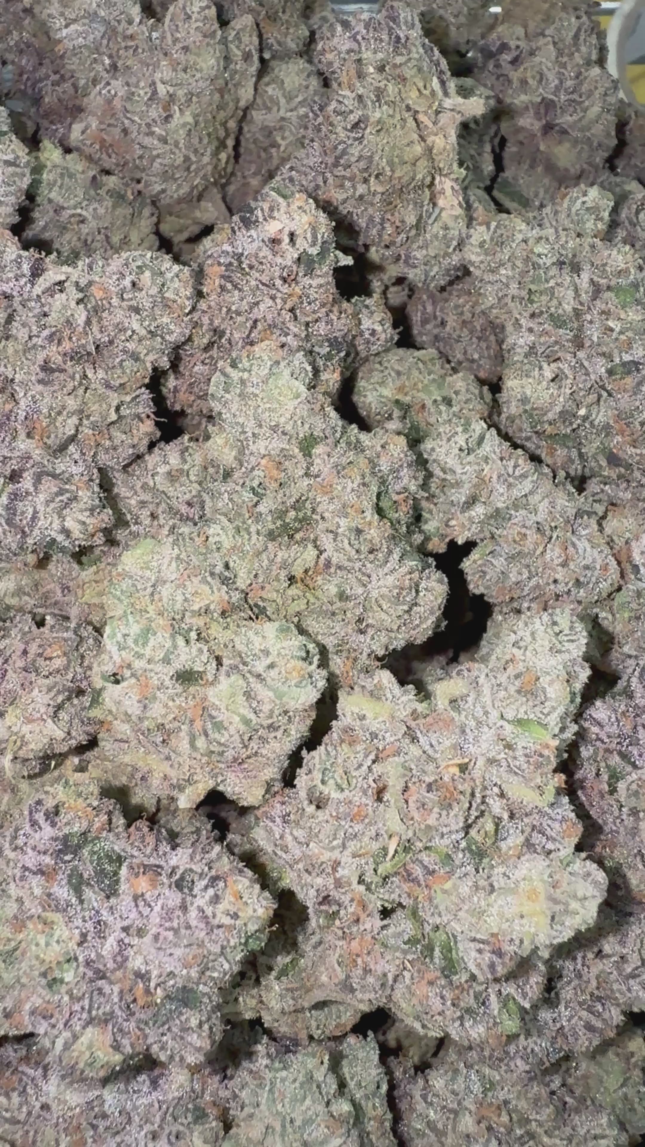 Load video: Sharpie Candy - Bulk- Hybrid