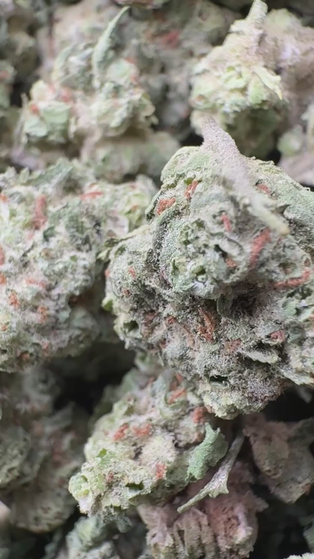 Load video: Space Station - Bulk Littles - Indica