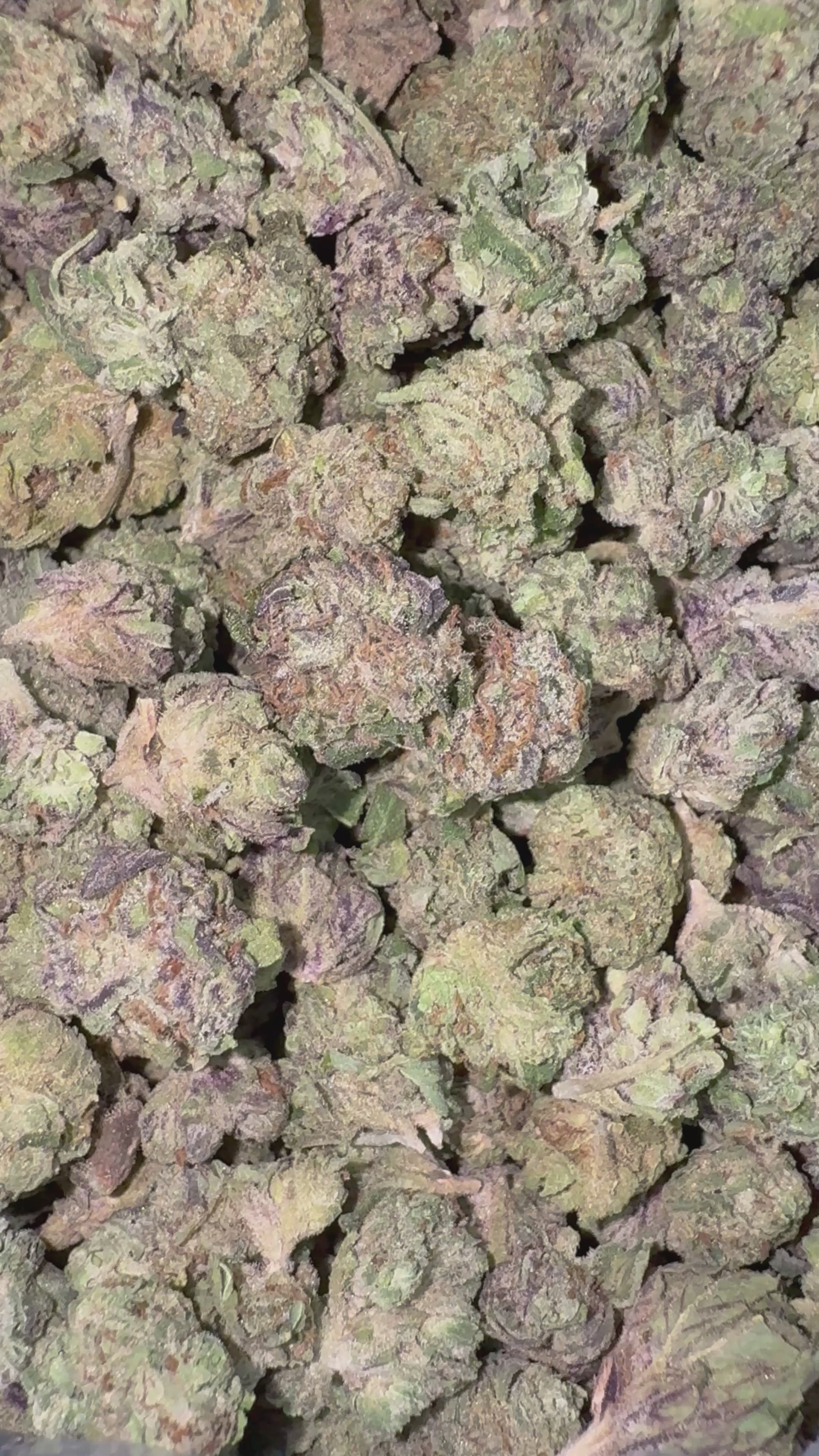 Load video: Space Runtz- Bulk Littles - Hybrid