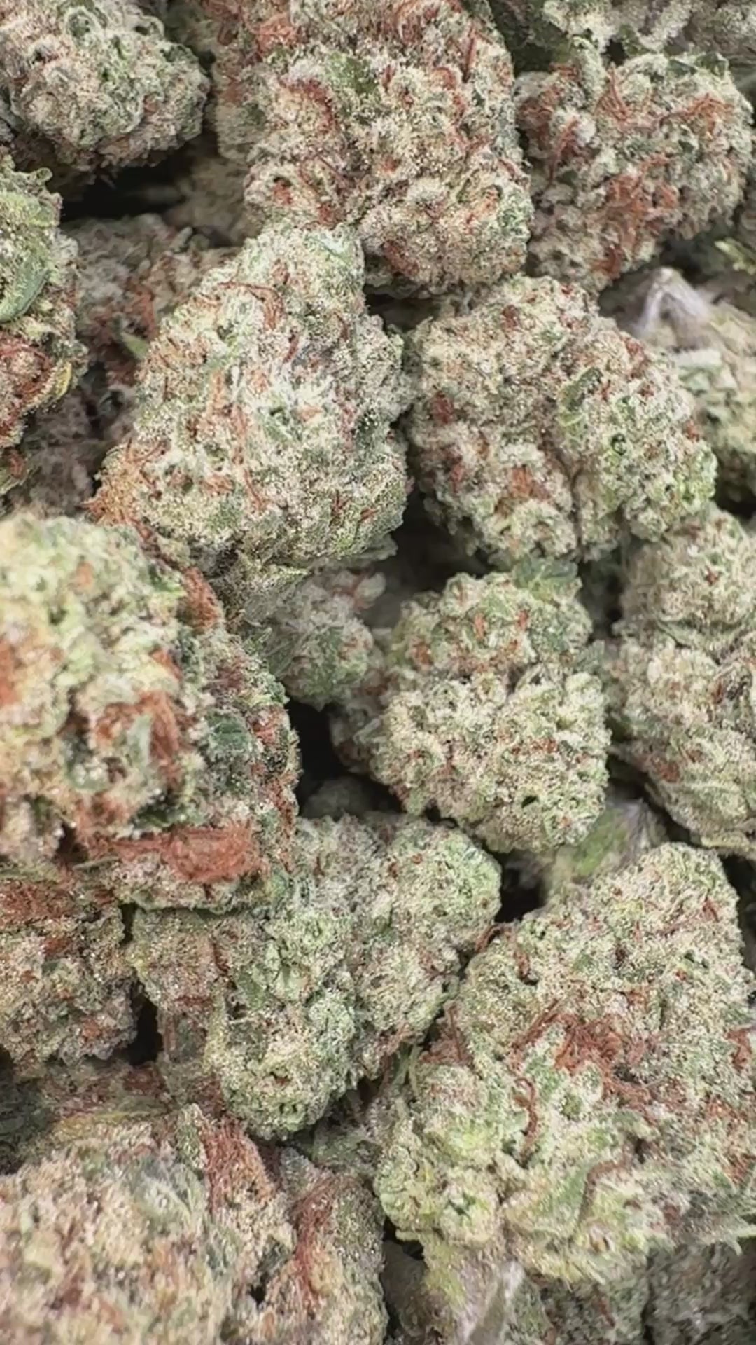 Load video: Raspberry Kush - Bulk - Indica