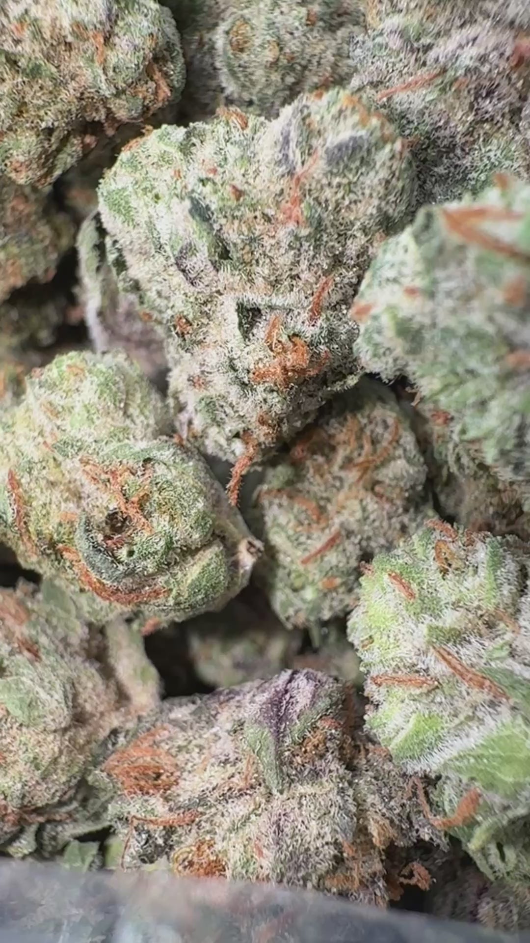 Load video: Cookie Crisp - Bulk Littles - Hybrid