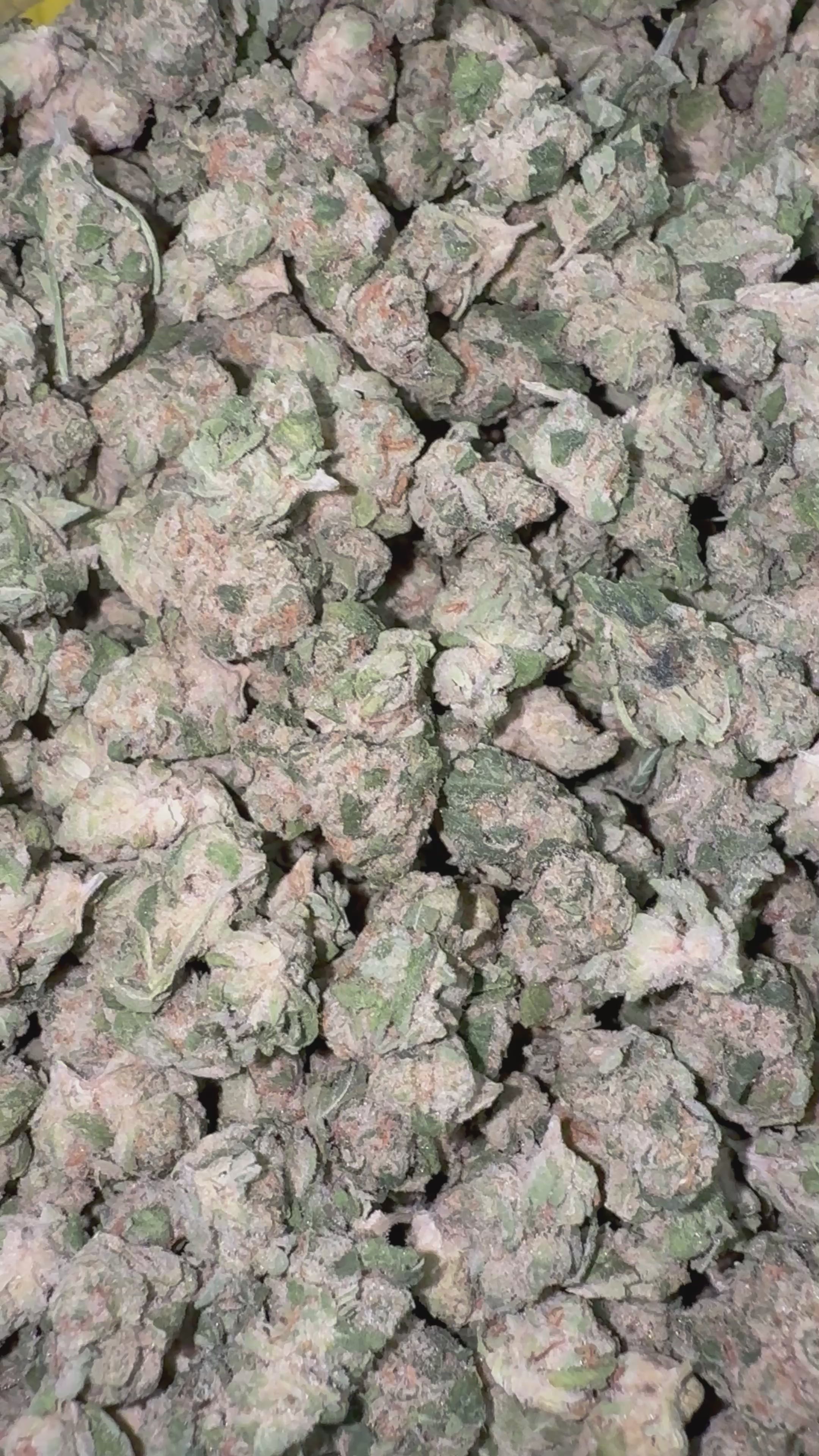 Load video: Lemon Bar - Bulk Littles - Sativa