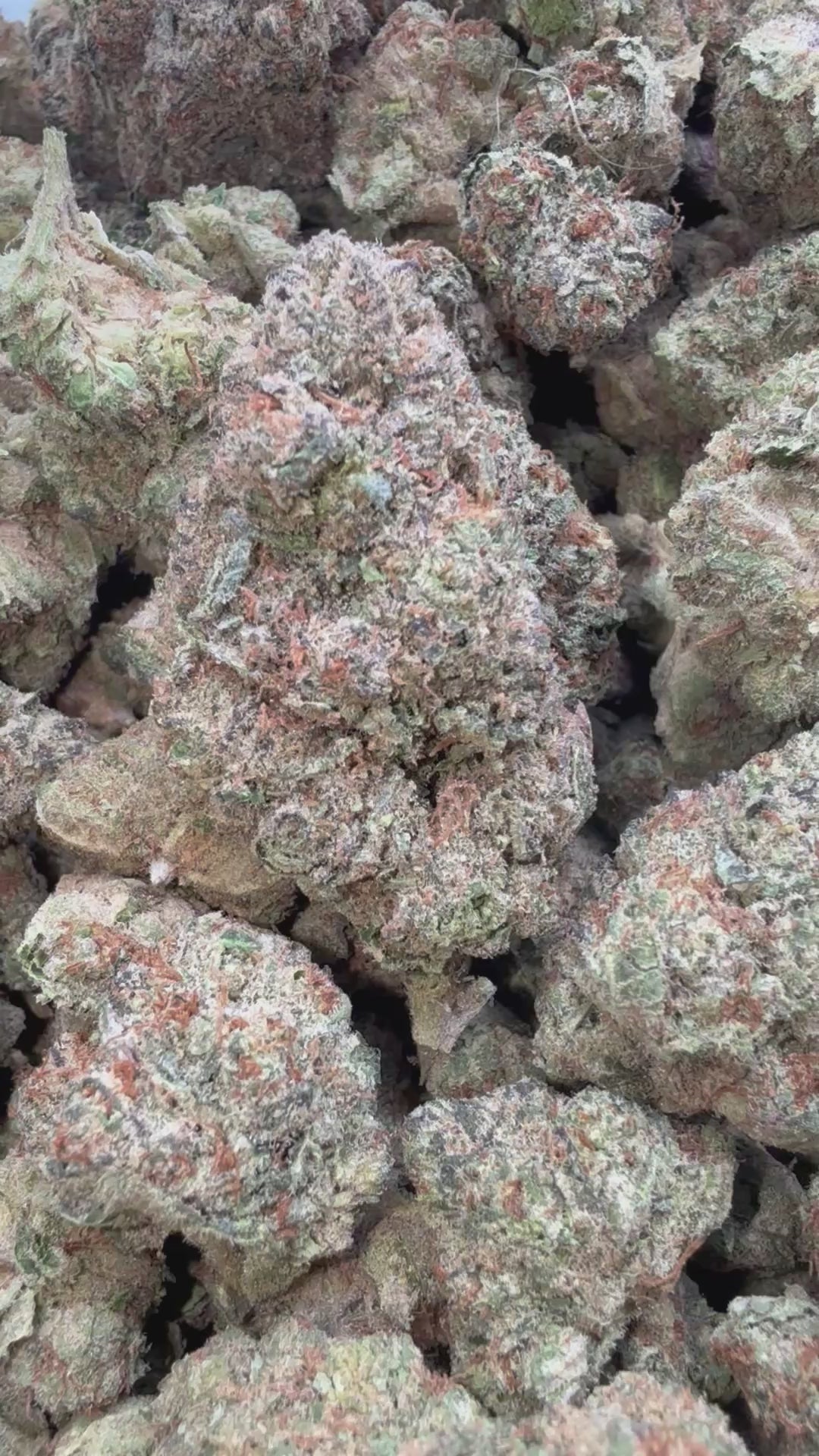 Load video: Super Sour Diesel - Bulk - Sativa
