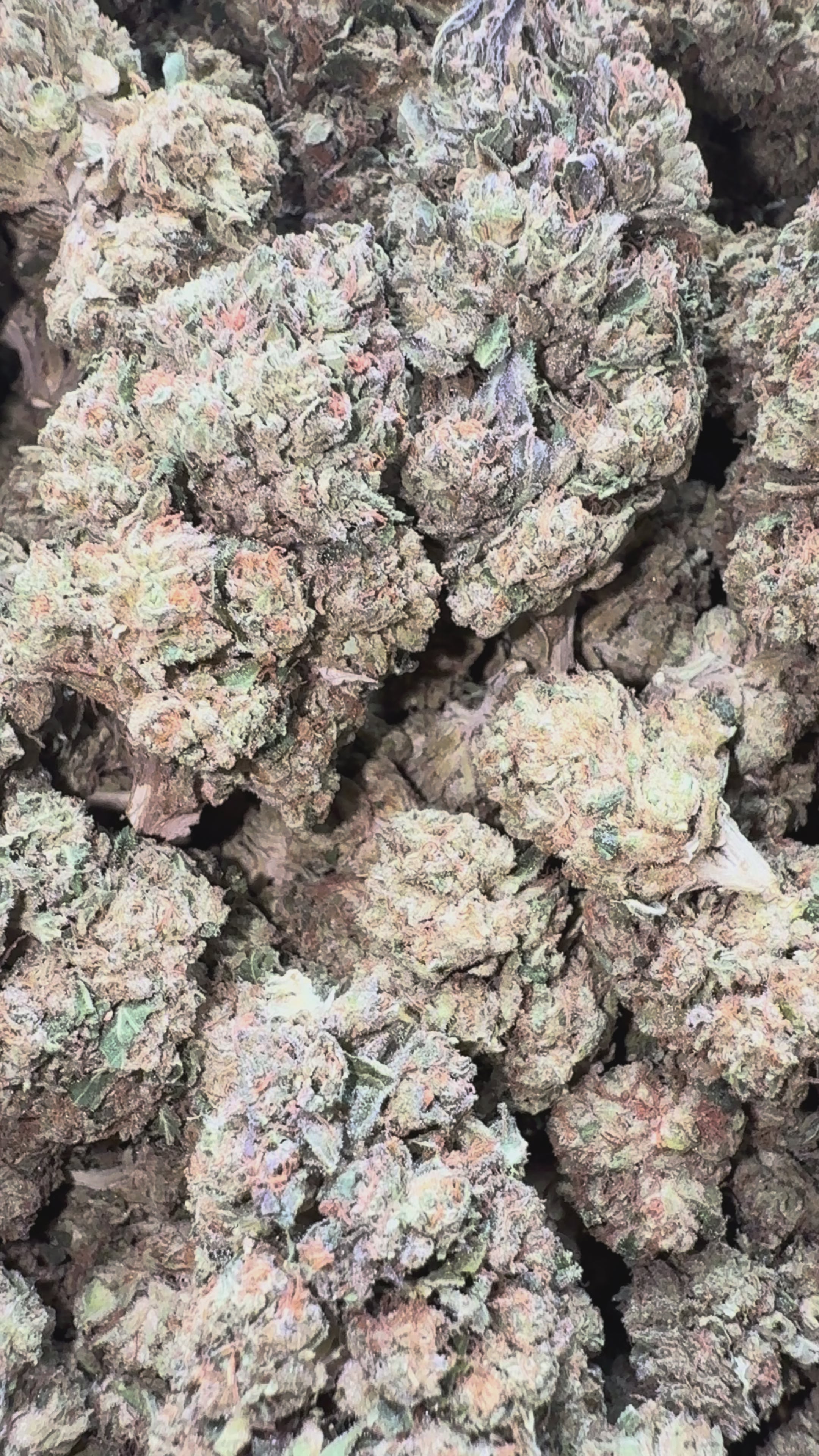Load video: Carbon Fiber - Bulk Littles - Hybrid