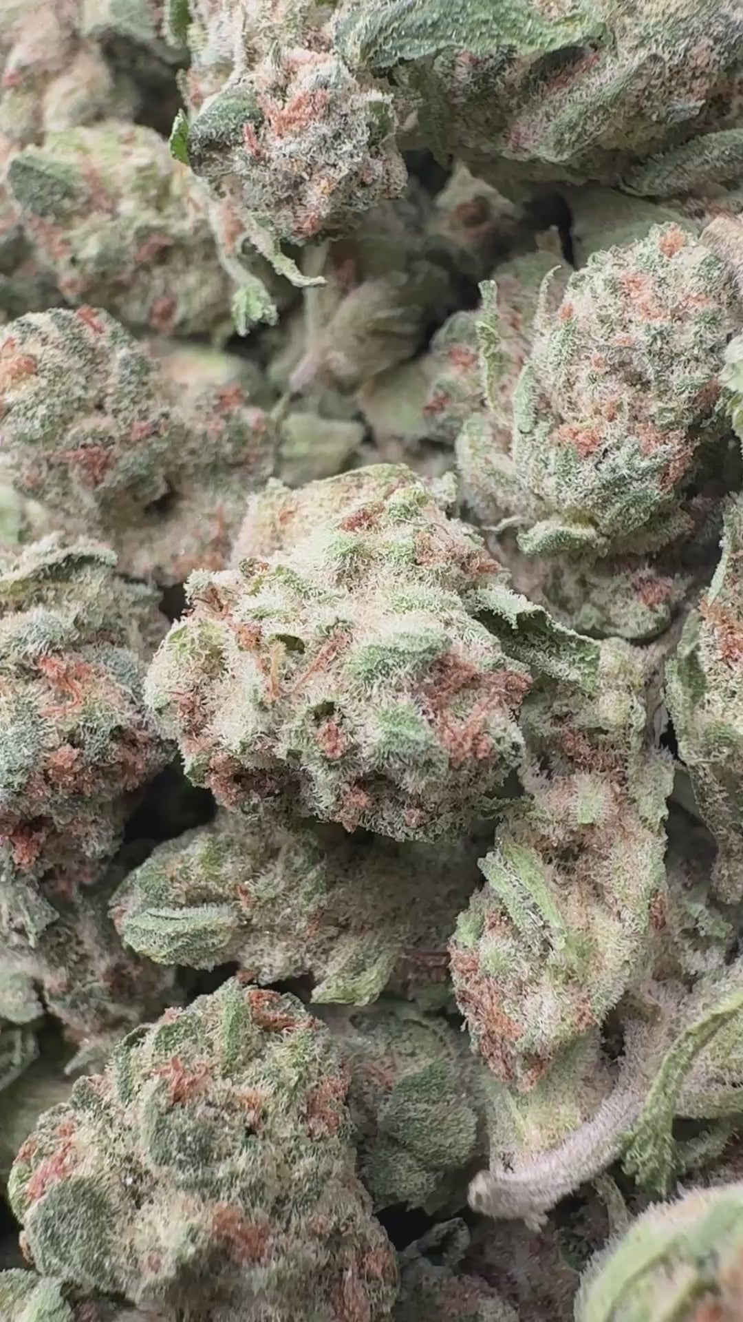 Load video: Darth Vader - Bulk Littles - Indica