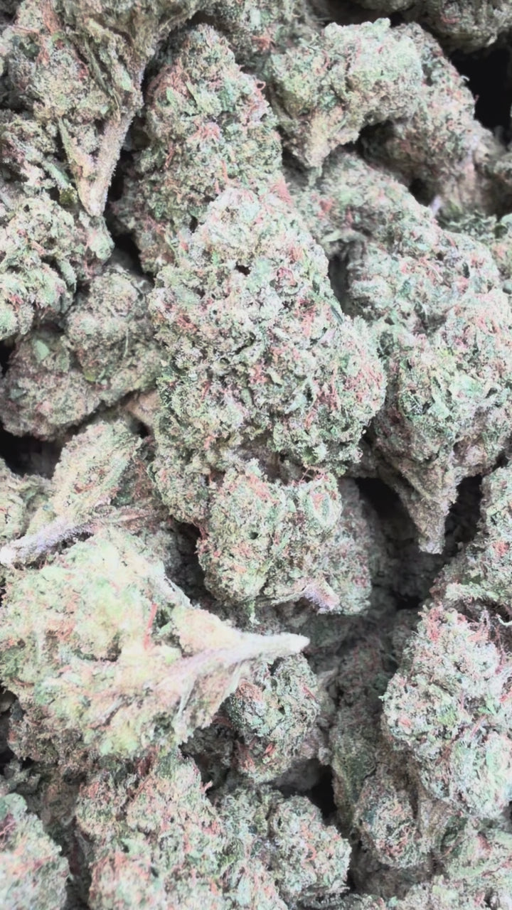 Load video: Blue Nerds - Bulk- Hybrid
