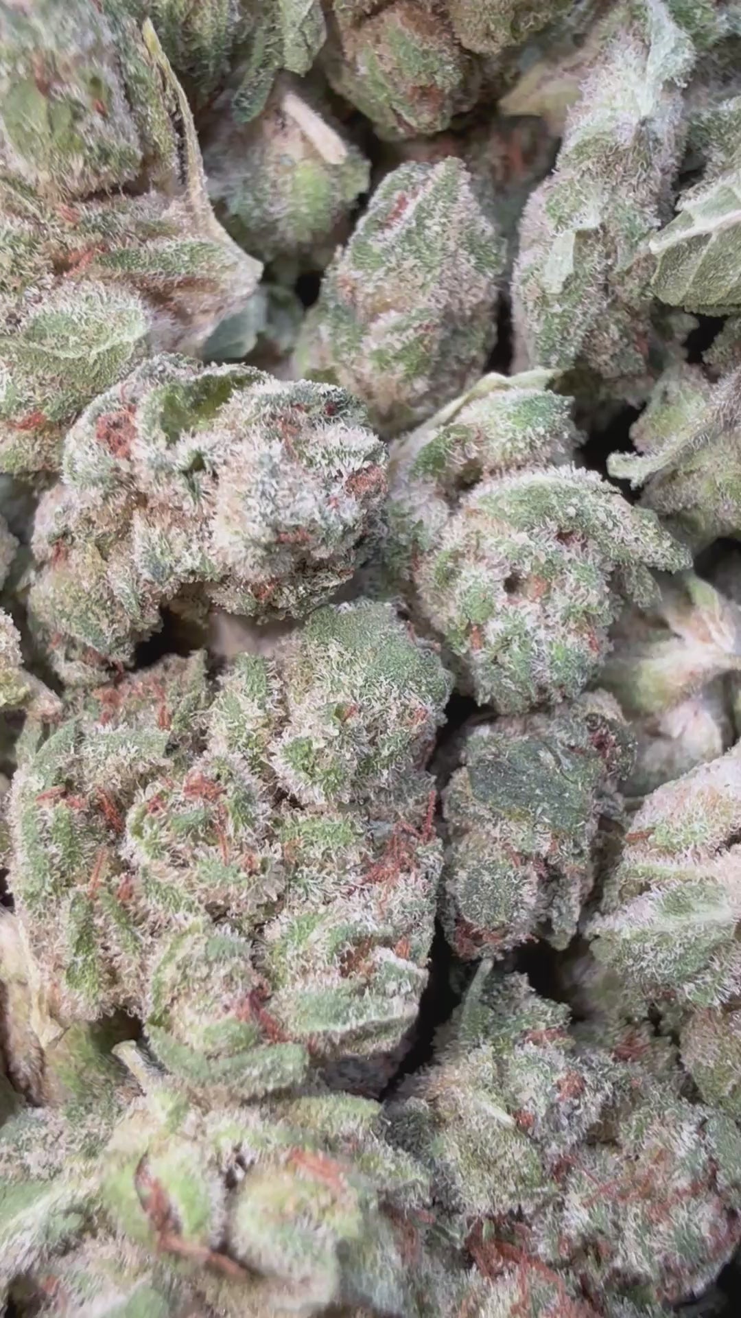Load video: Elmers Glue - Bulk Littles - Hybrid