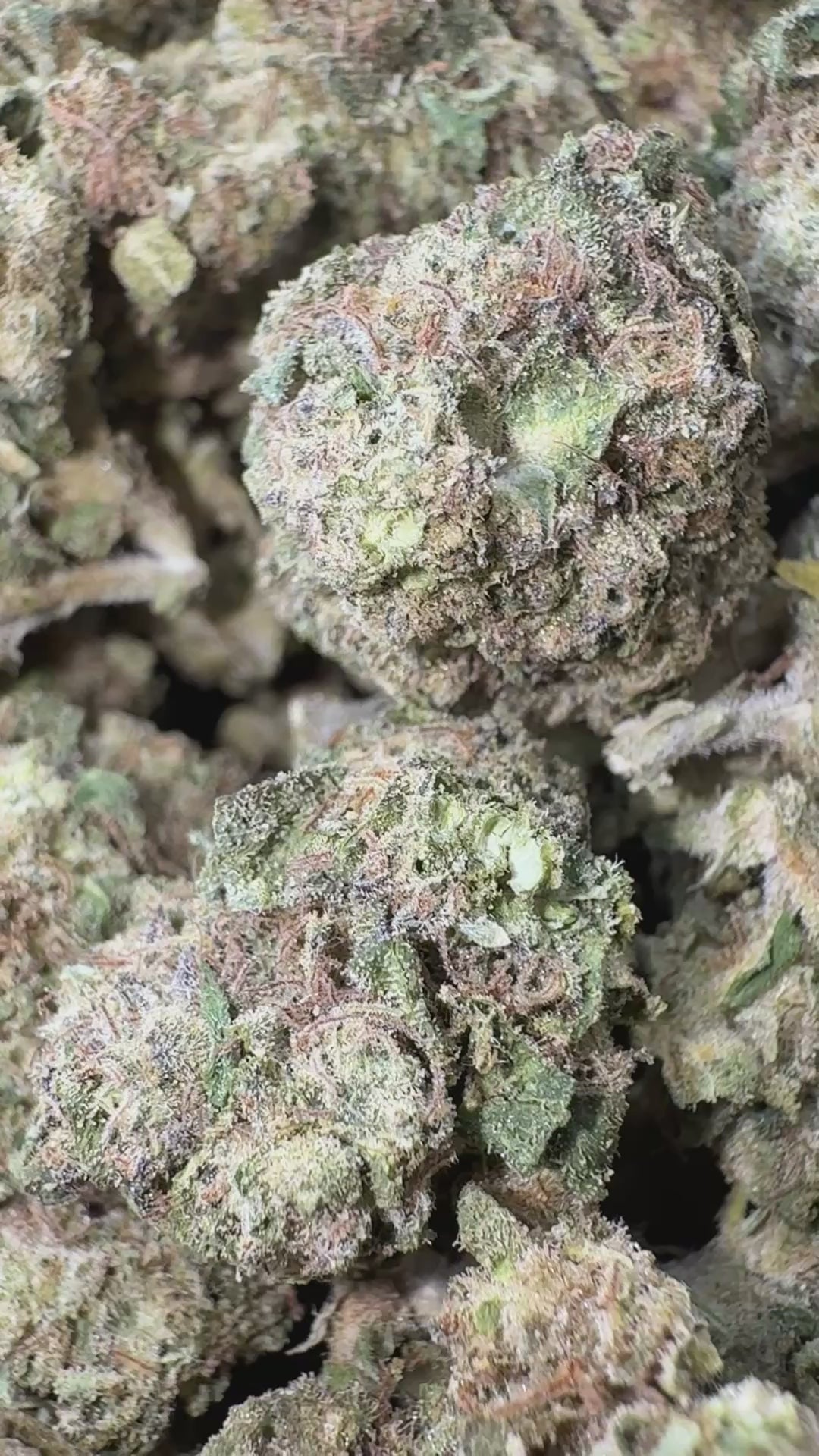 Load video: Illuminati OG - Bulk - Indica