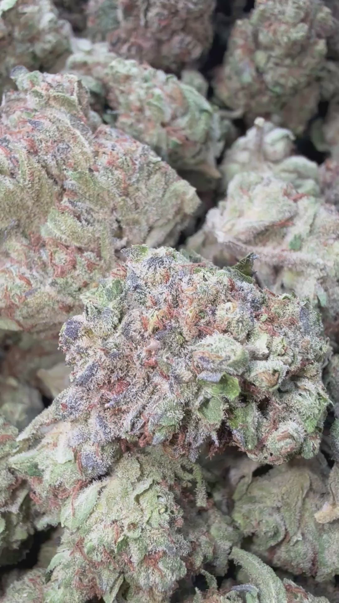 Load video: Chocolate Diesel - Bulk - Sativa