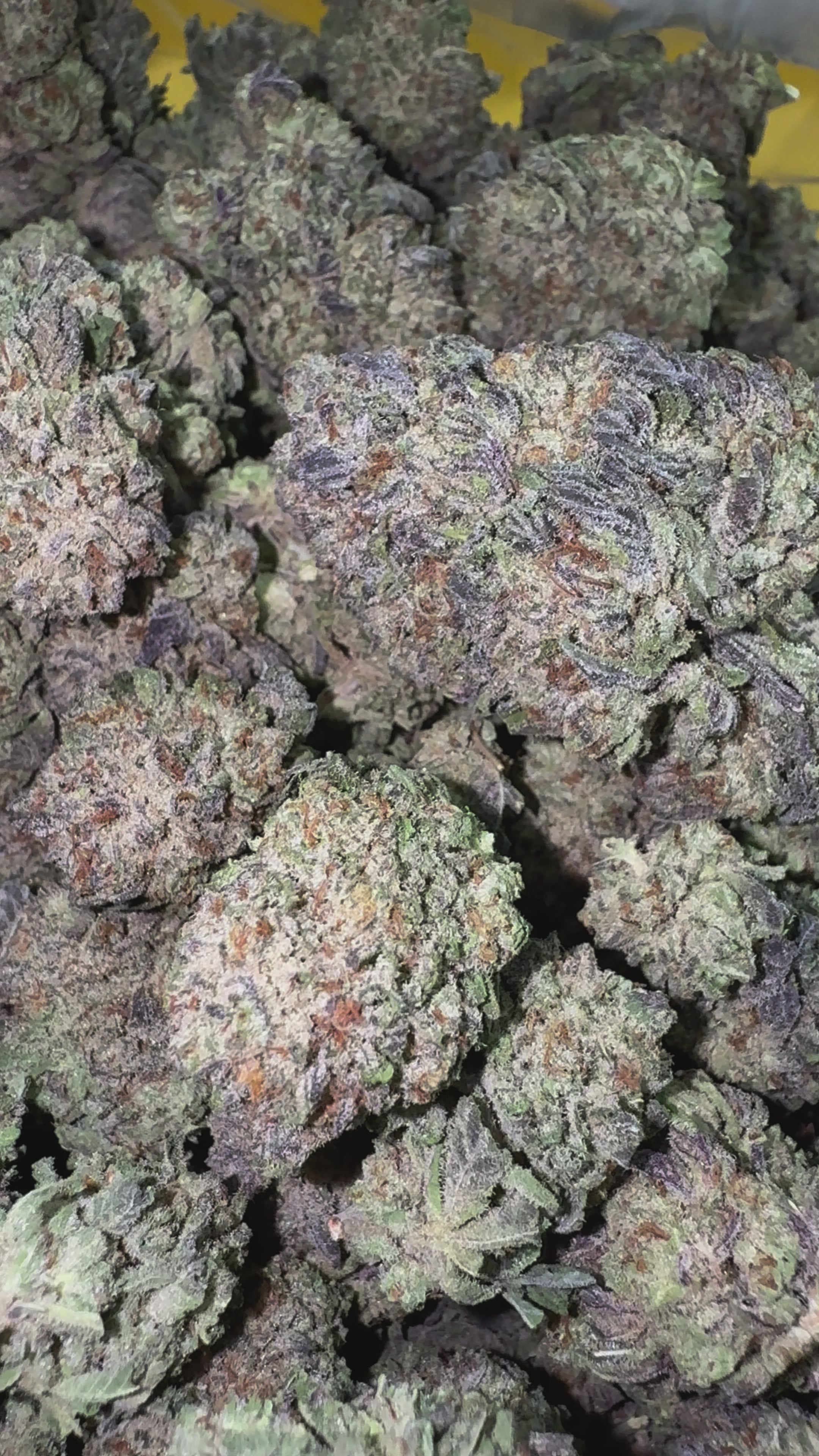 Load video: Oreo Runtz - Bulk - Hybrid