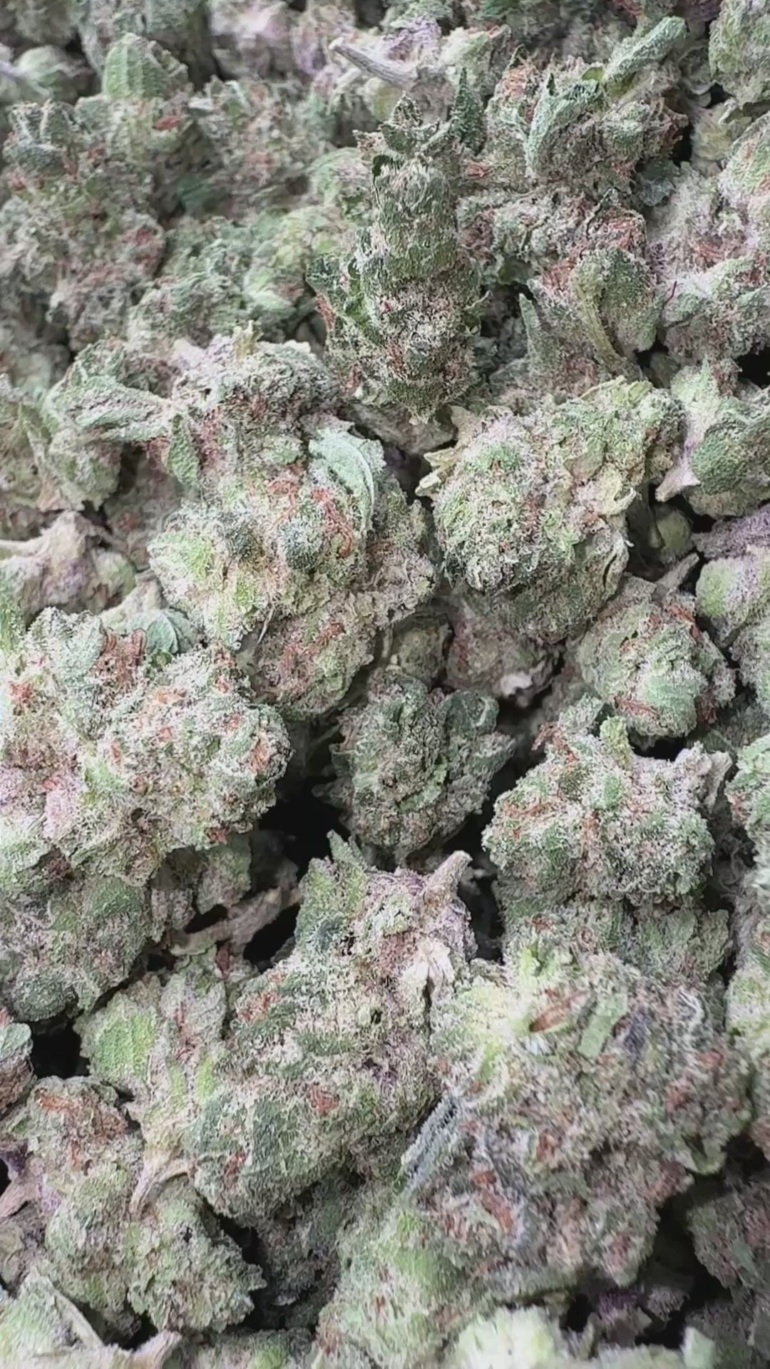 Load video: Sour Apple - Bulk Littles - Hybrid