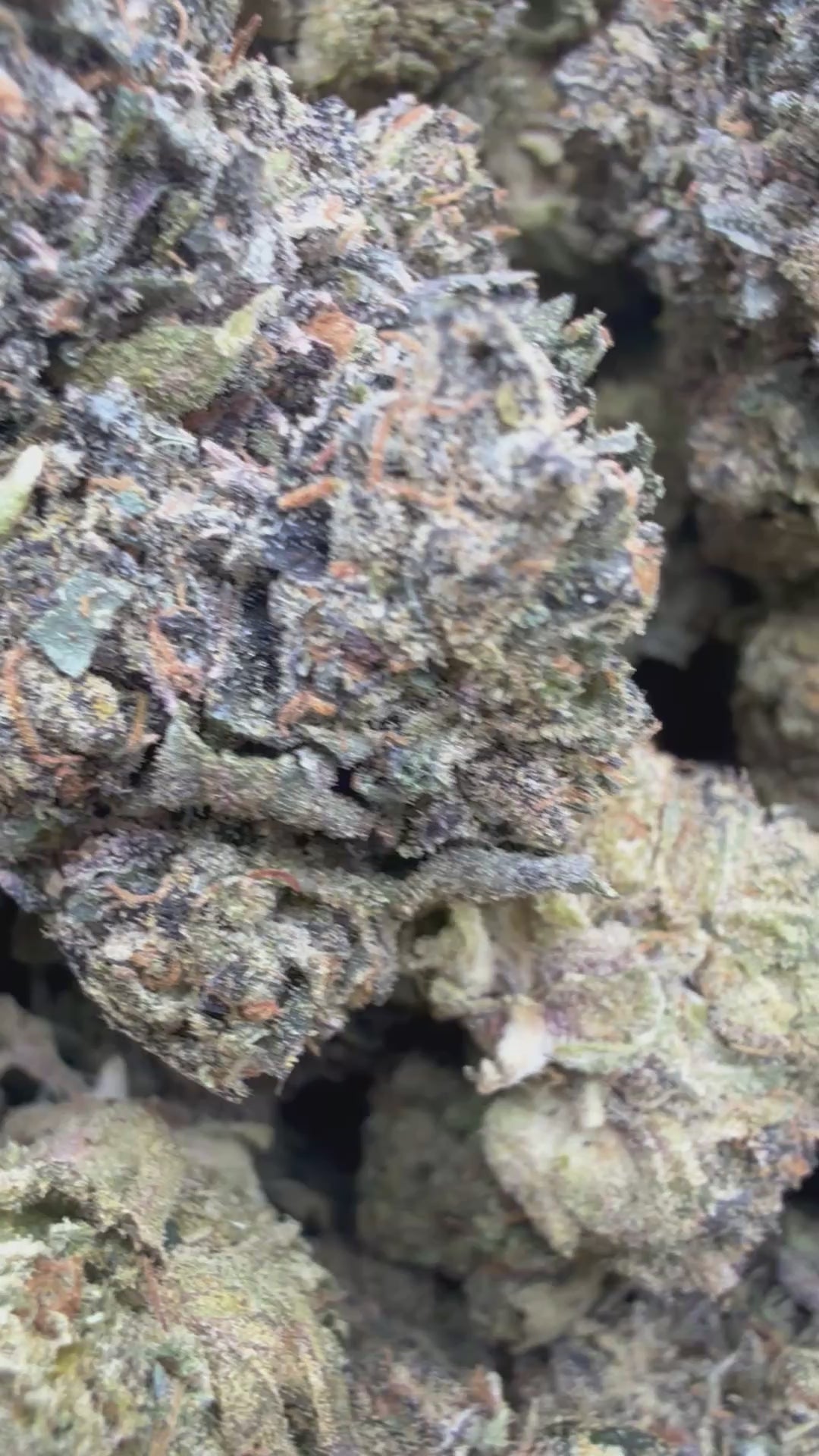 Load video: Black Cherry Runtz - Bulk - Indica