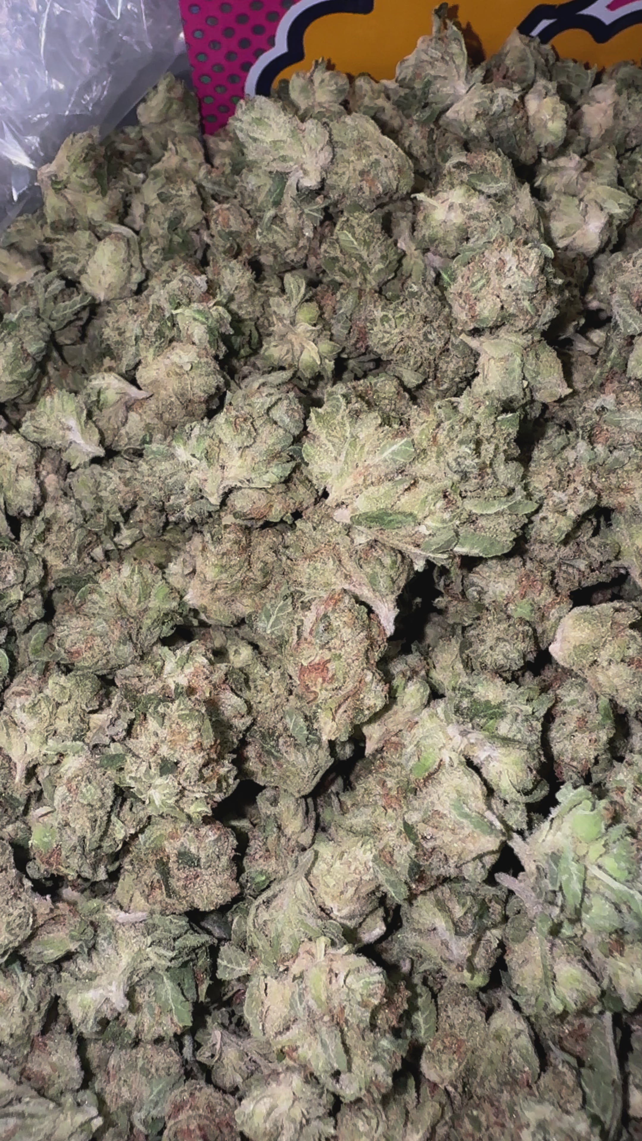Load video: OG Kush - Bulk Littles - Indica