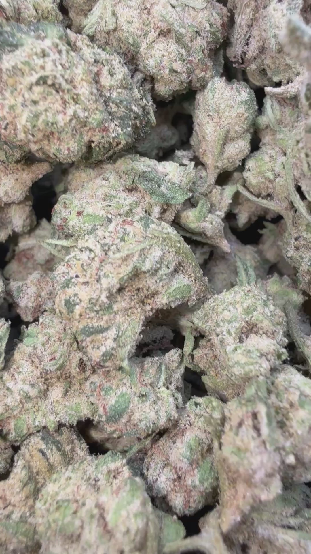 Load video: LA Pop Rocks - Bulk Littles - Indica