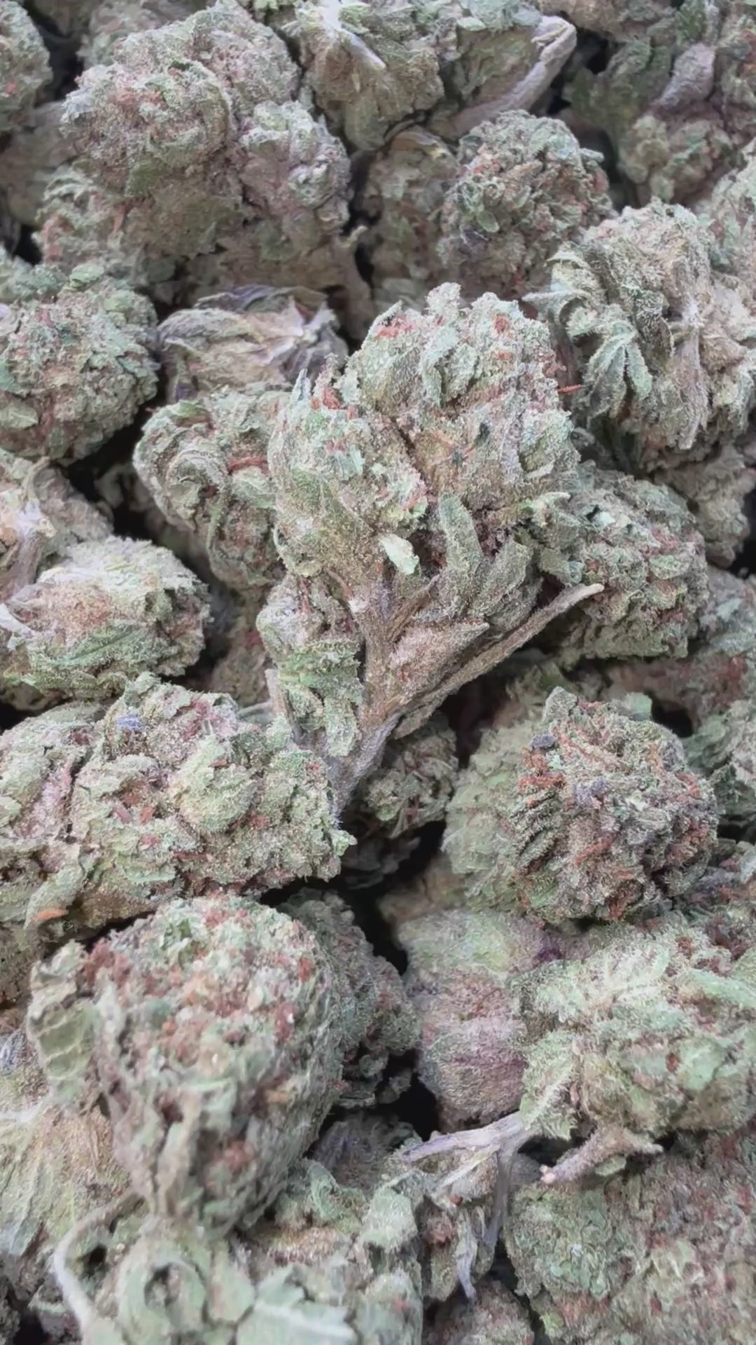 Load video: Warheads Littles - Bulk Littles - Sativa