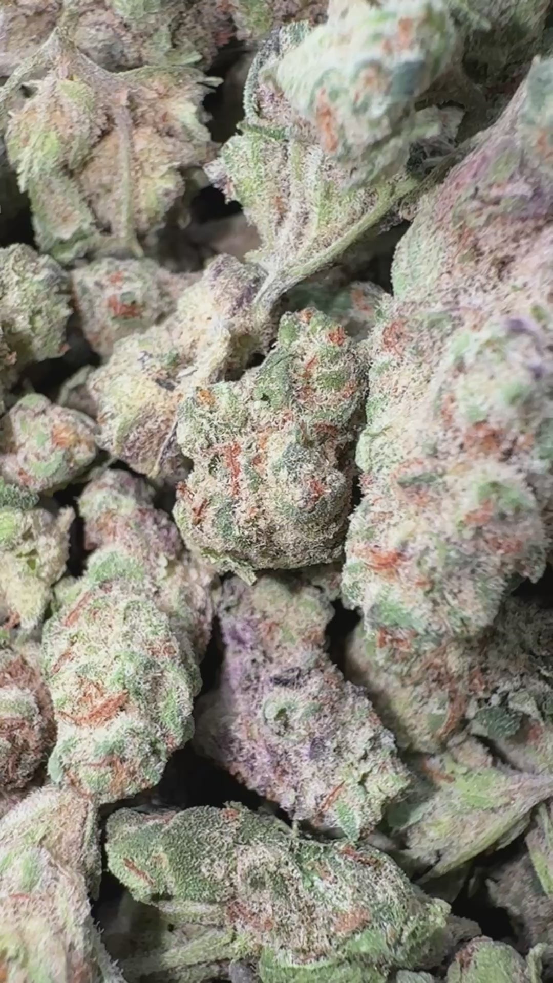 Load video: Donutz - Bulk Littles - Indica