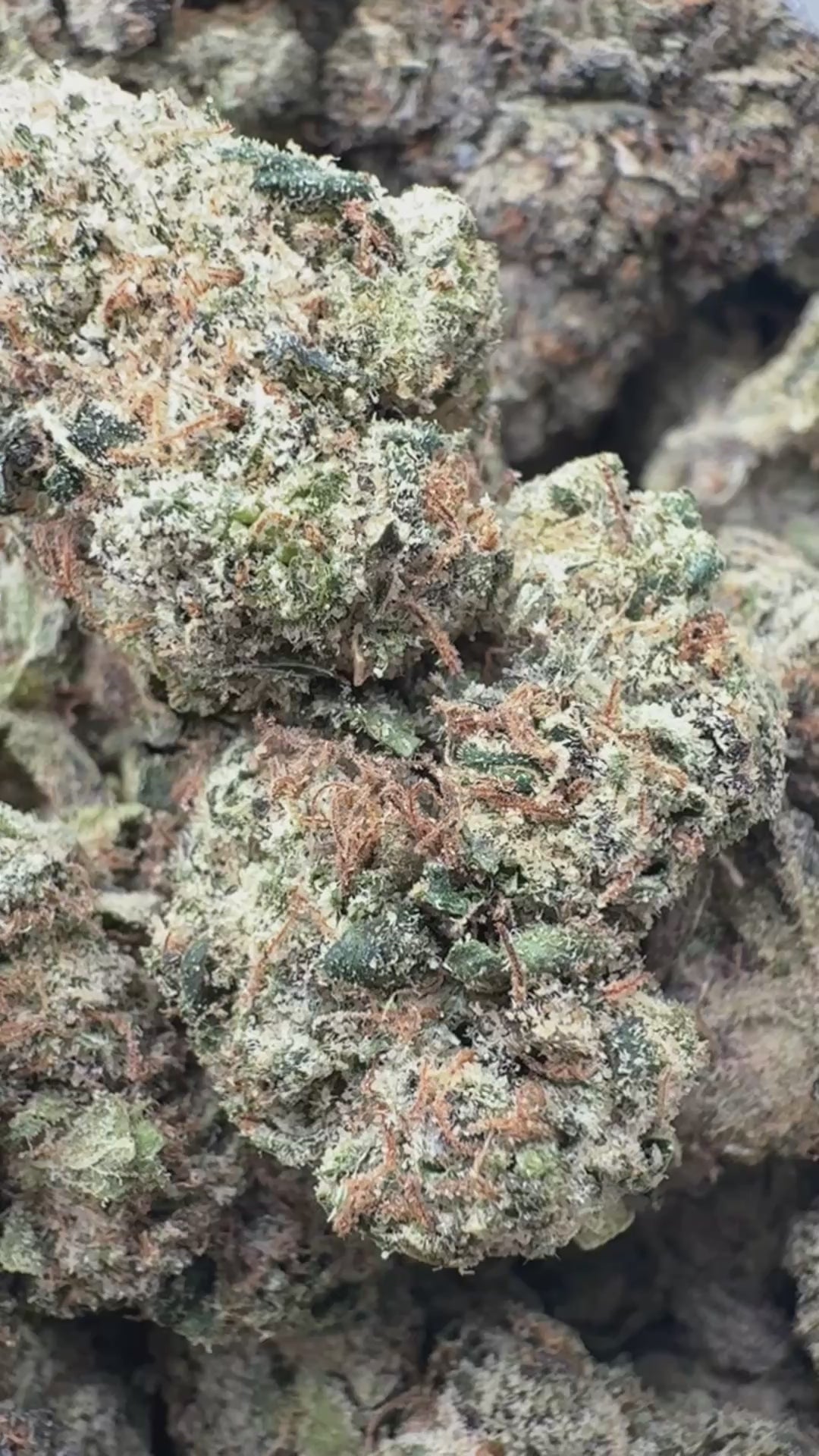 Load video: Grape Ape - Bulk - Hybrid