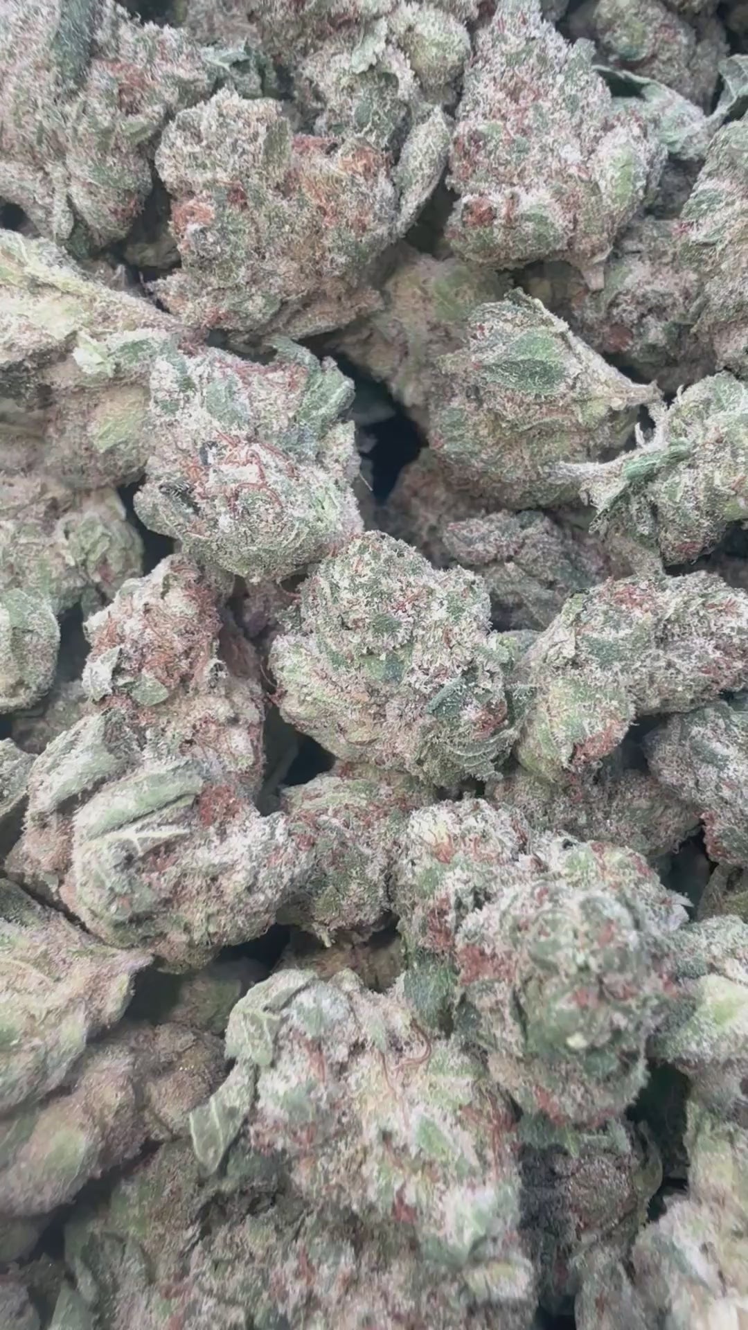 Load video: Blueberry Cough - Bulk Littles - Sativa