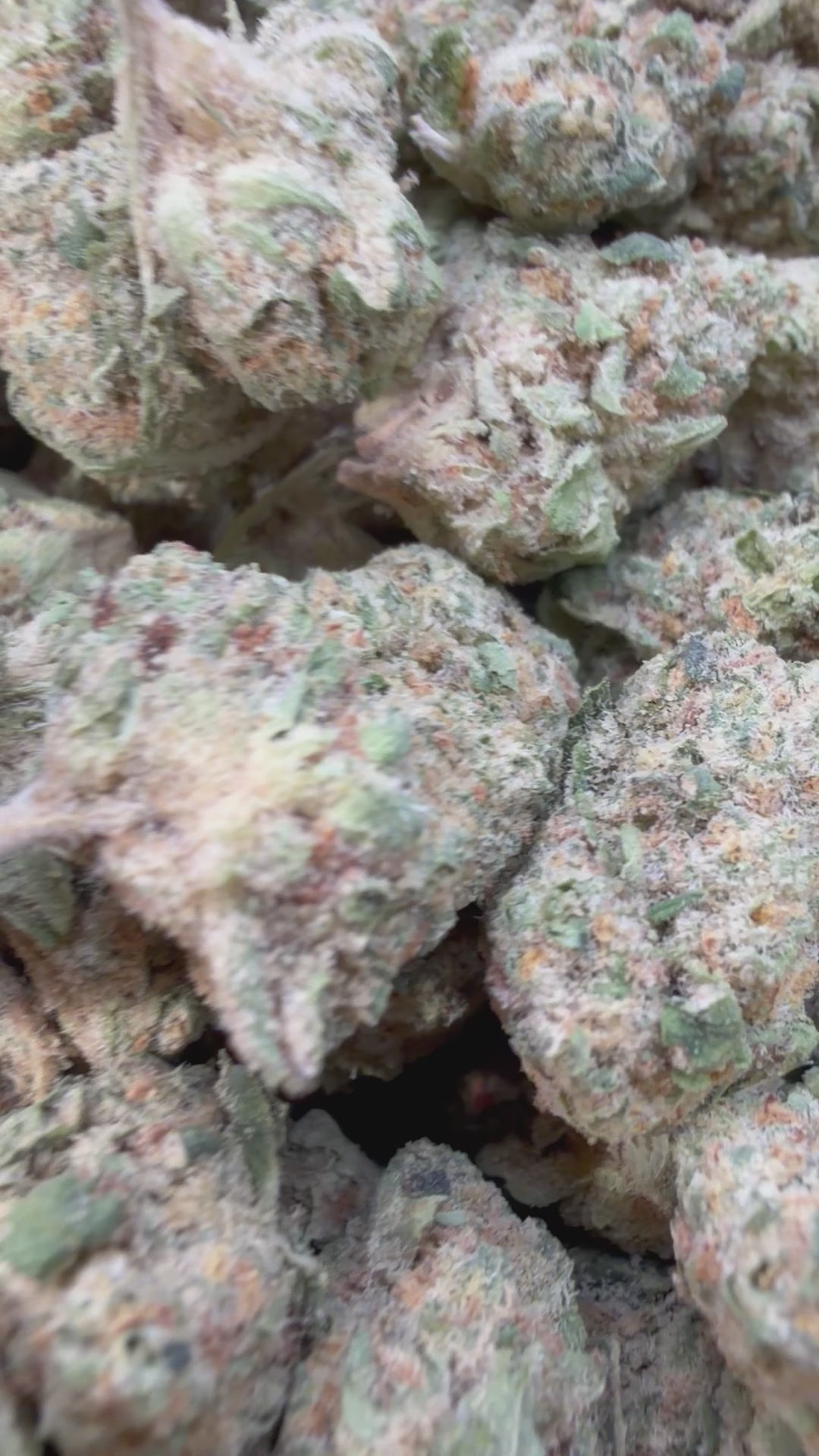 Load video: Purple Punch Mediums - Bulk Mediums - Indica