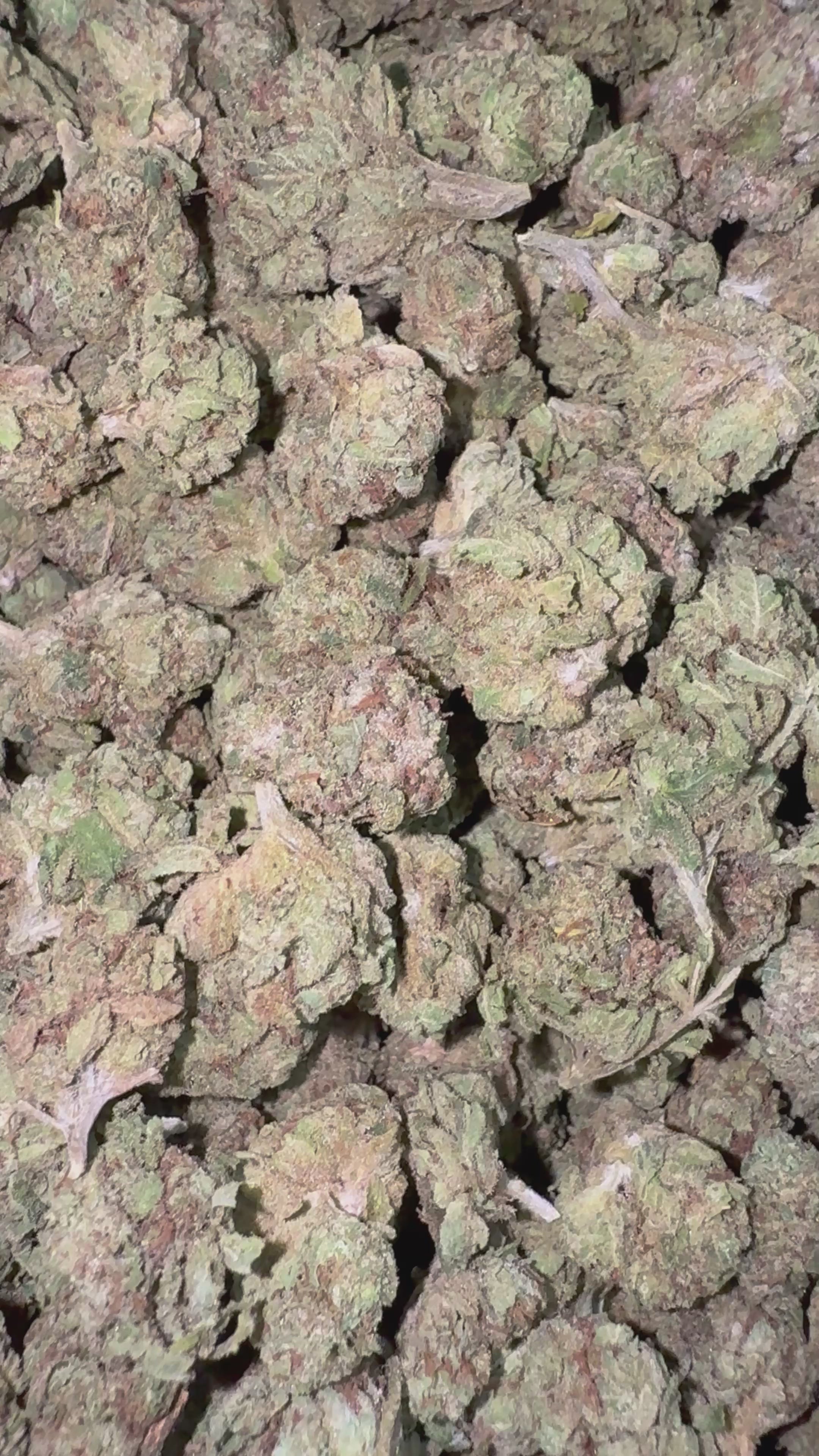 Load video: Gary Cherry - Bulk Littles - Indica