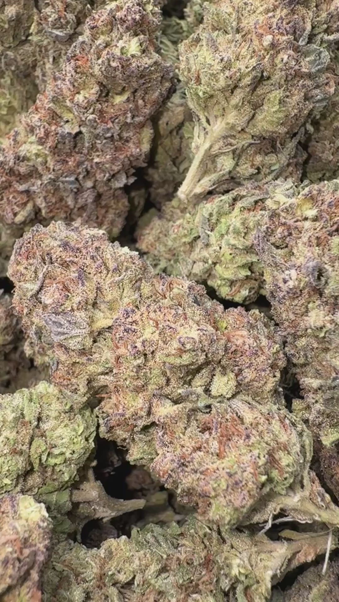 Load video: Gush Mintz - Bulk - Indica