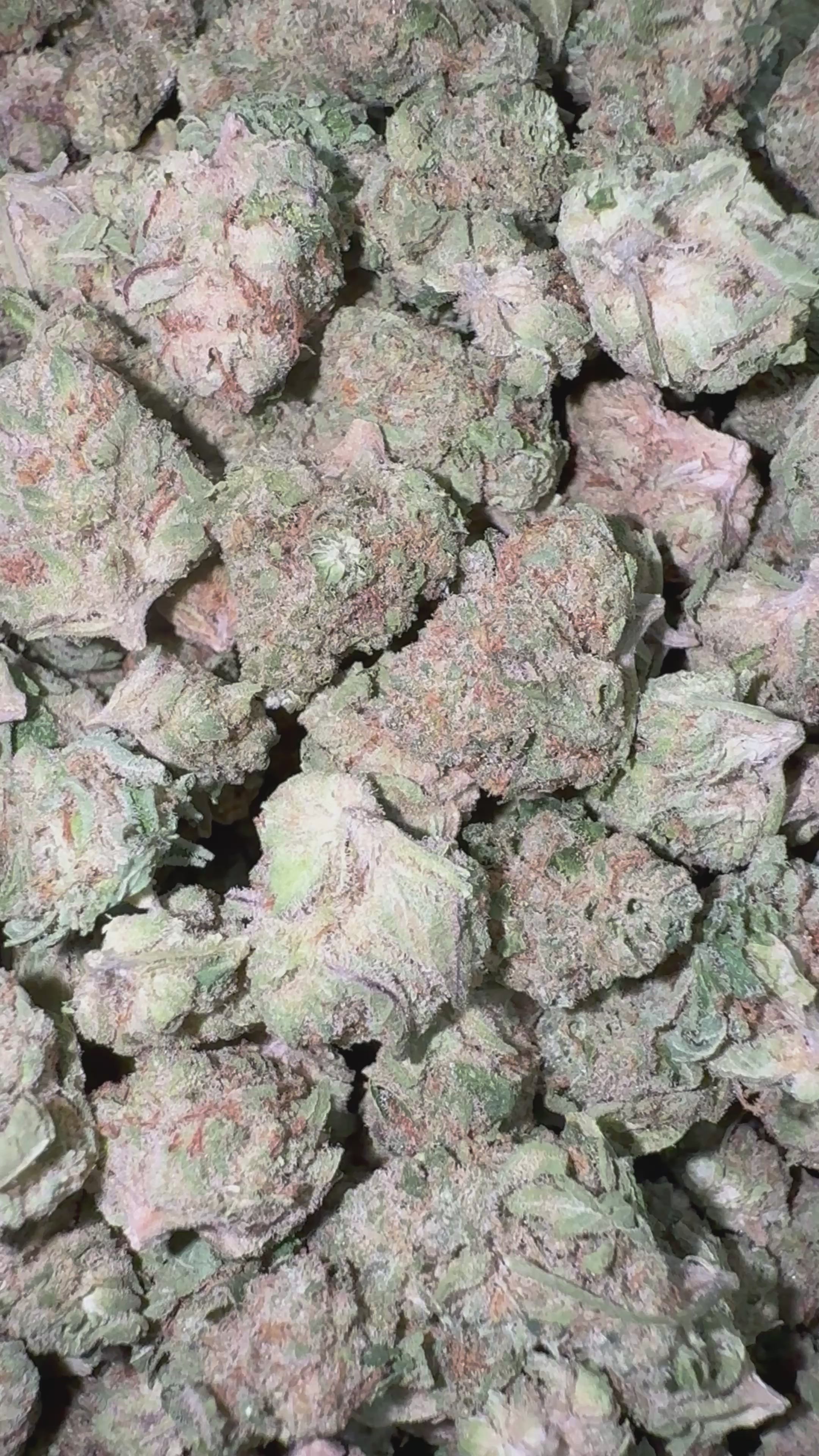 Load video: Slurty - Bulk Littles - Indica