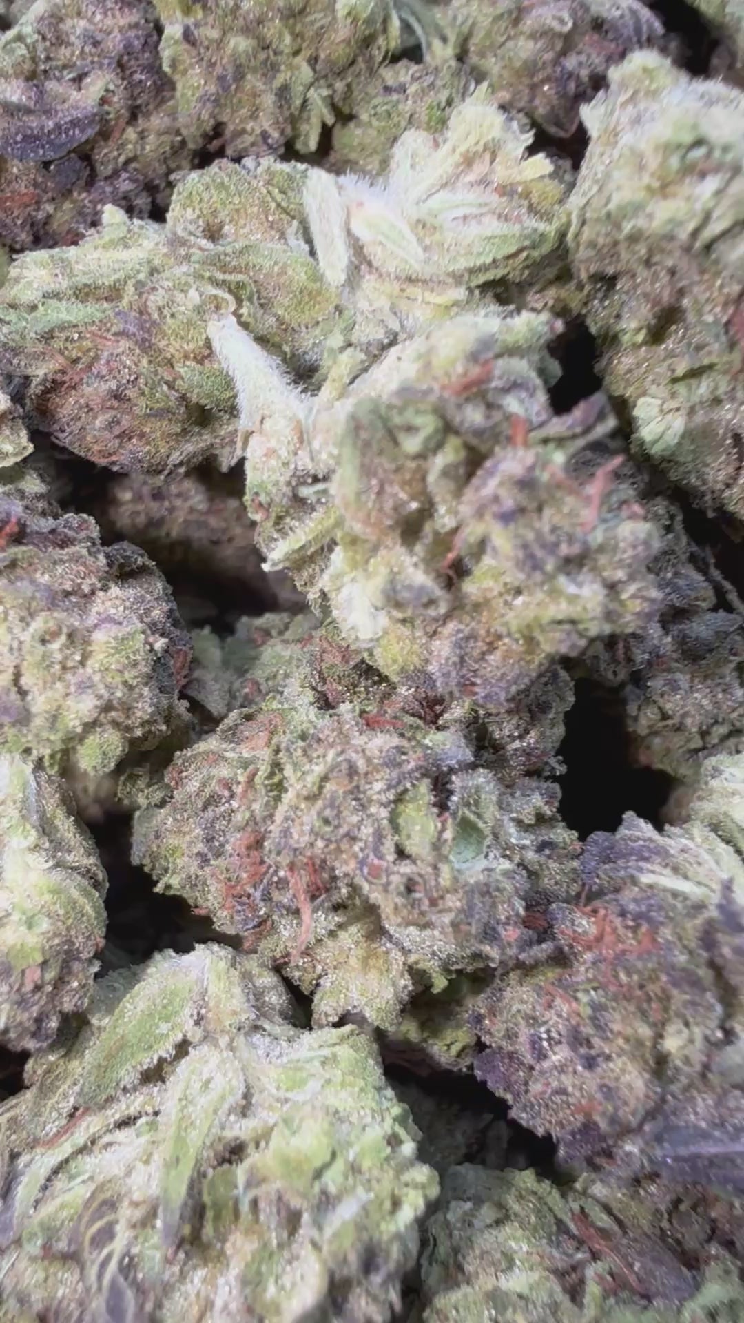 Load video: Han Solo Burger - Bulk Littles - Indica