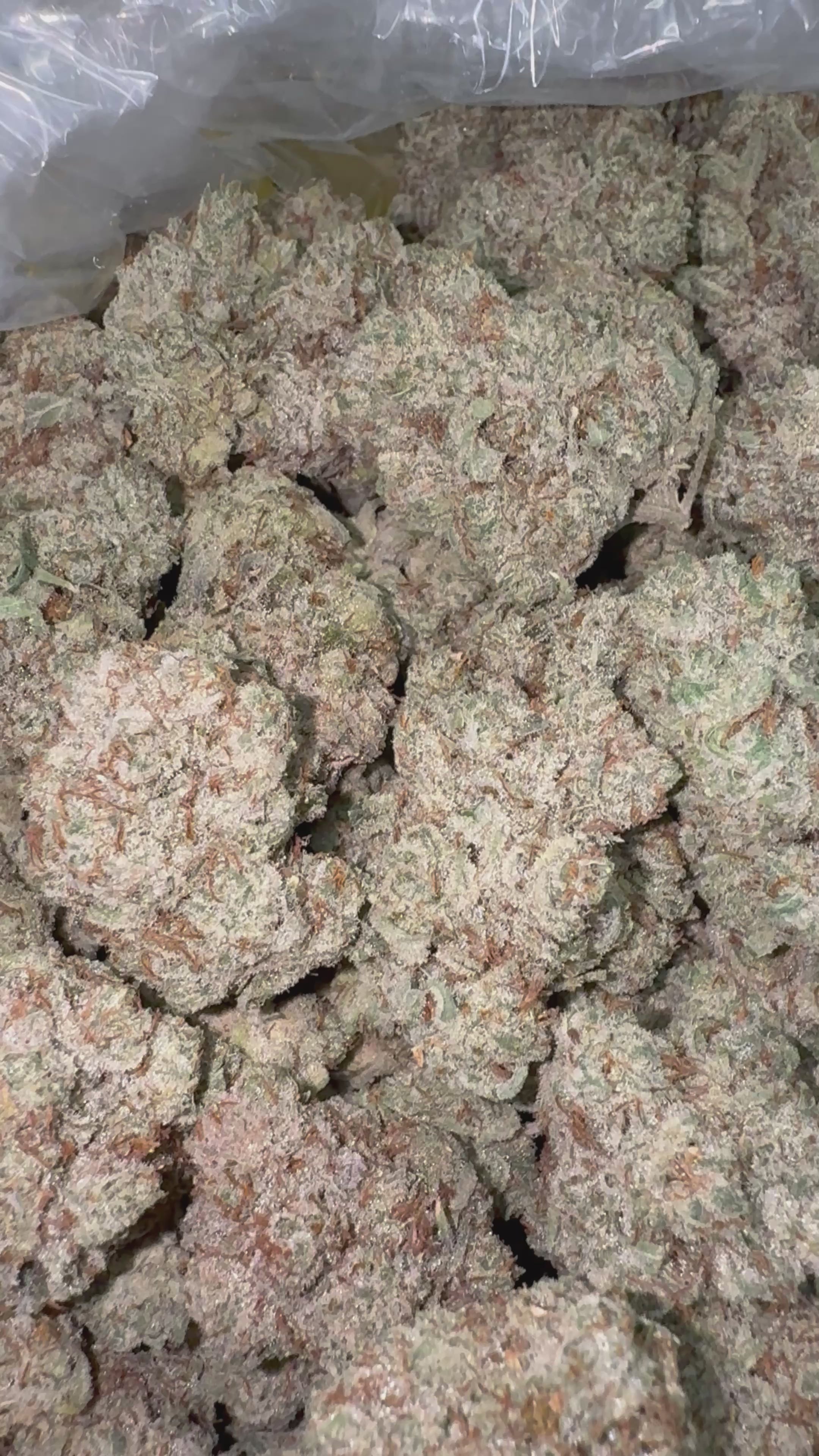 Load video: Pre Bubba 98 - Bulk- Indica