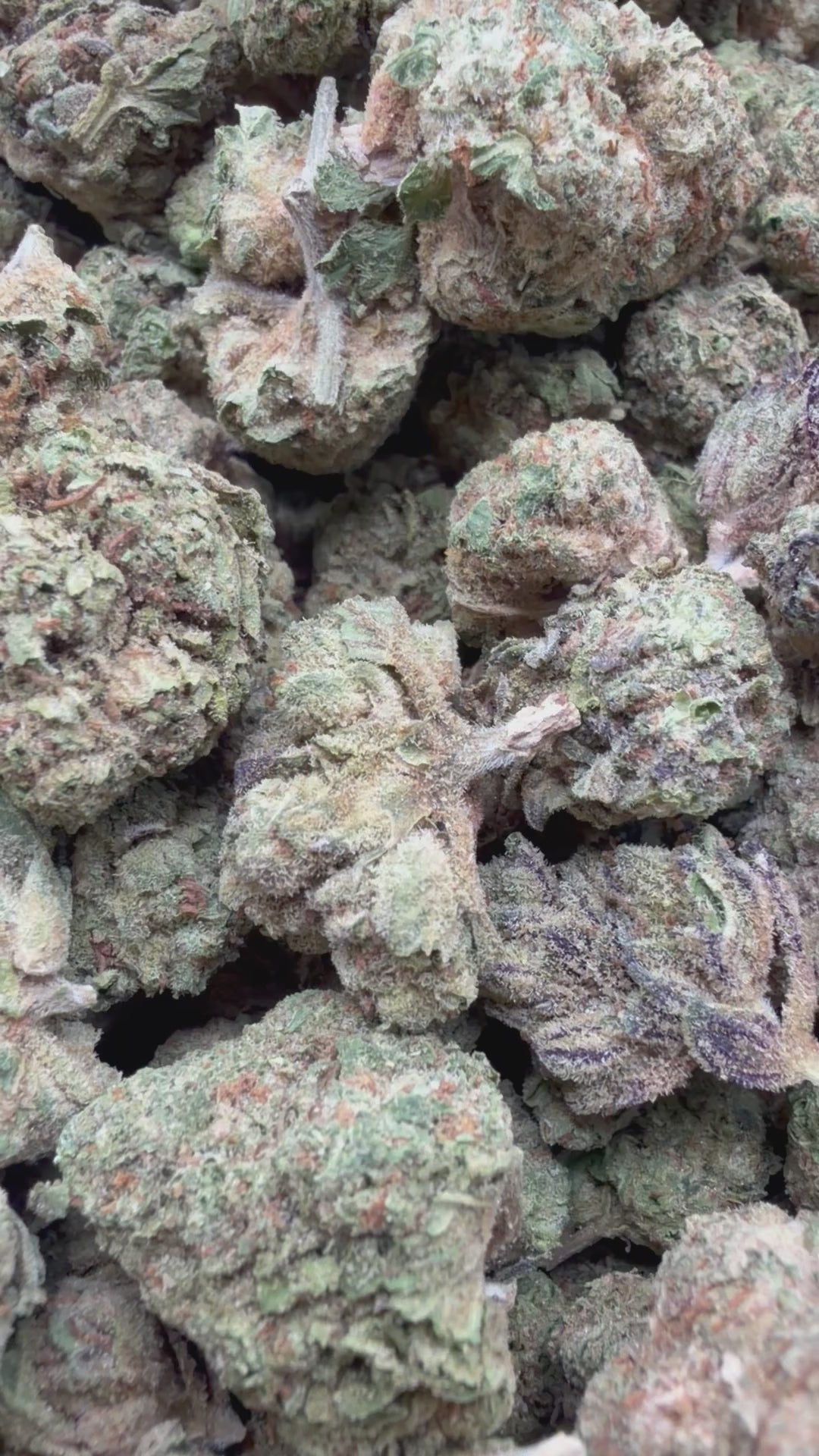 Load video: Warheads Mediums - Bulk - Sativa