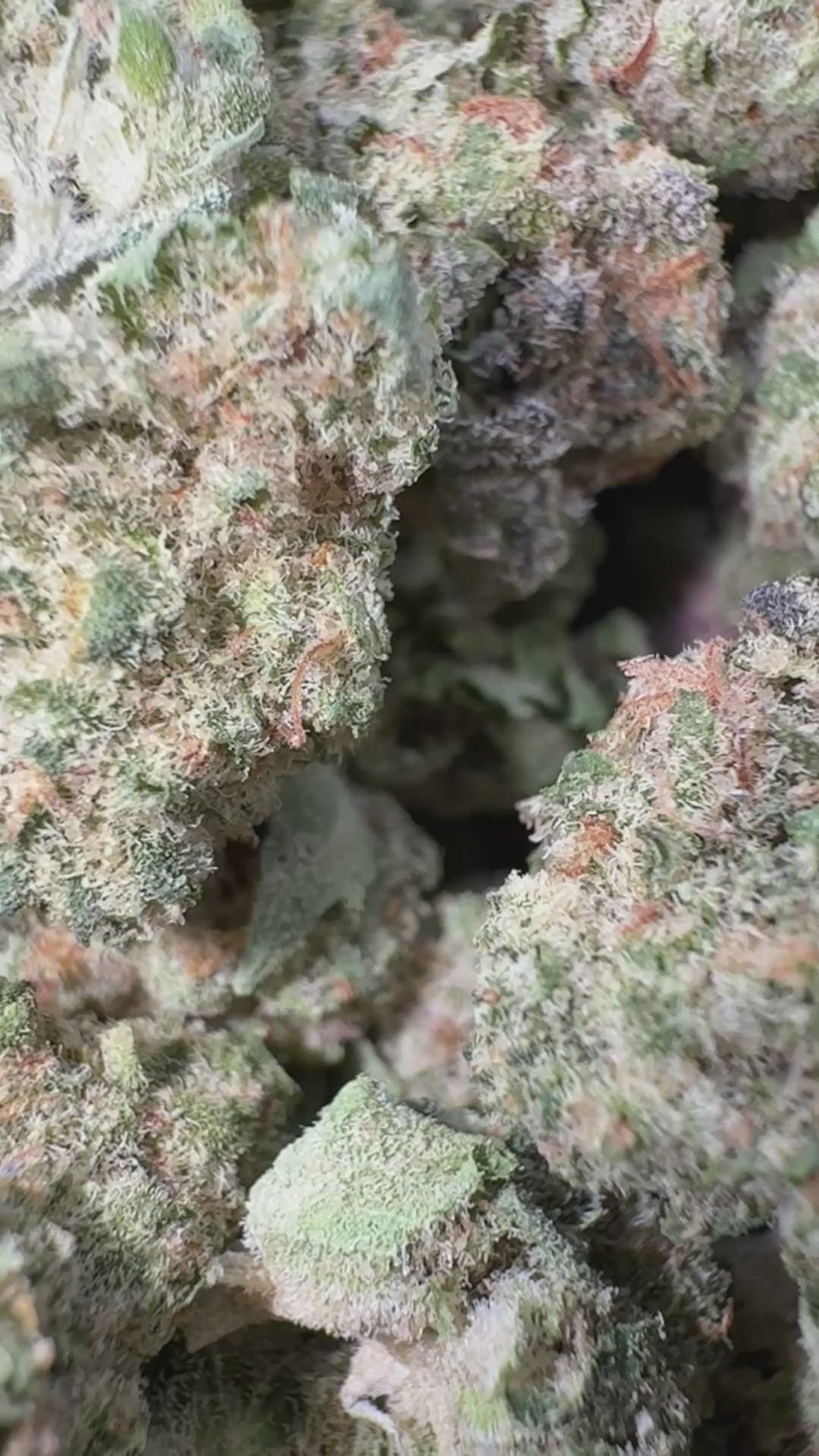 Load video: Peanut Butter Souffle Littles - Bulk Littles - Indica