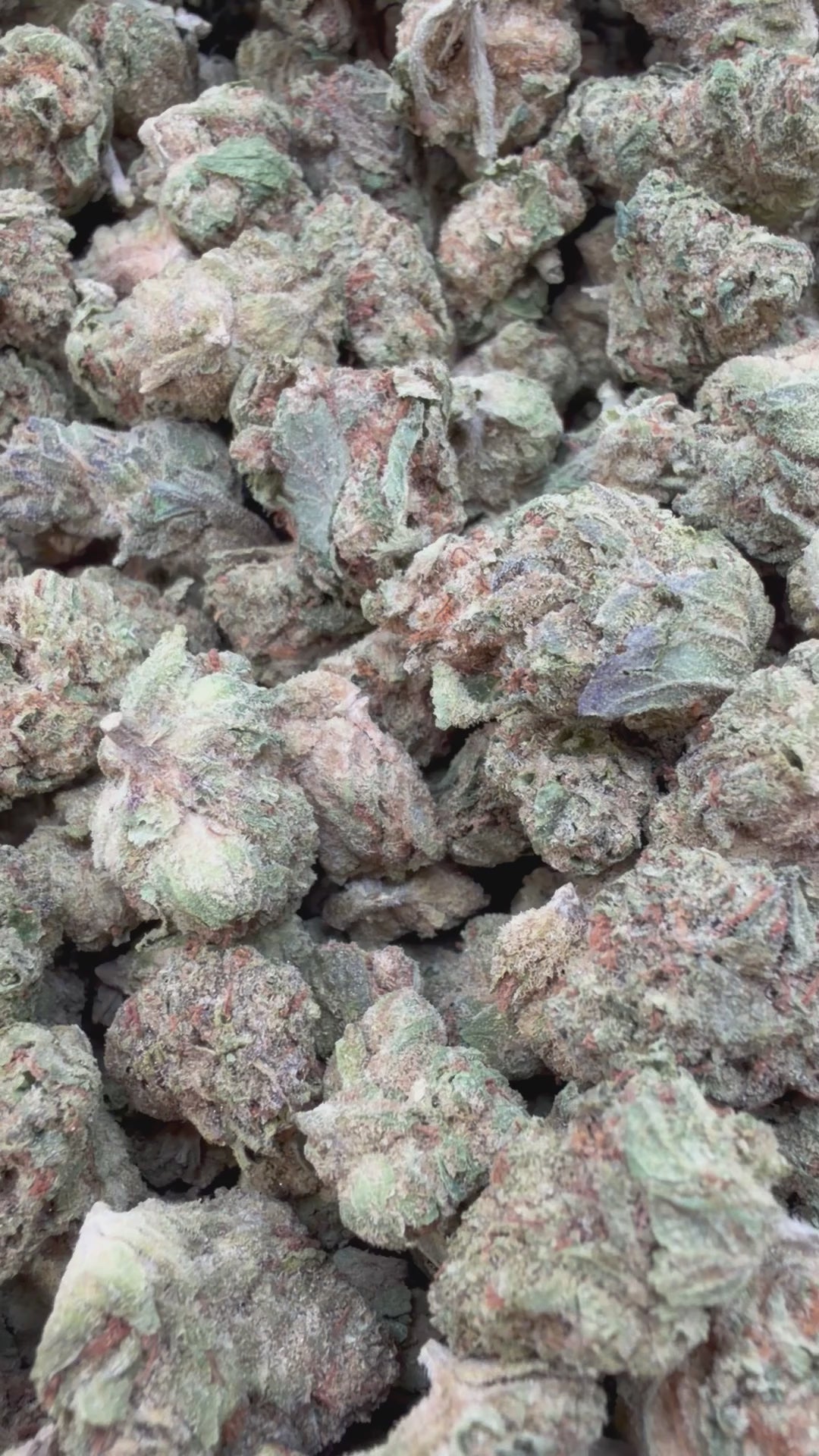 Load video: Pink Runtz Littles - Bulk Littles - Hybrid