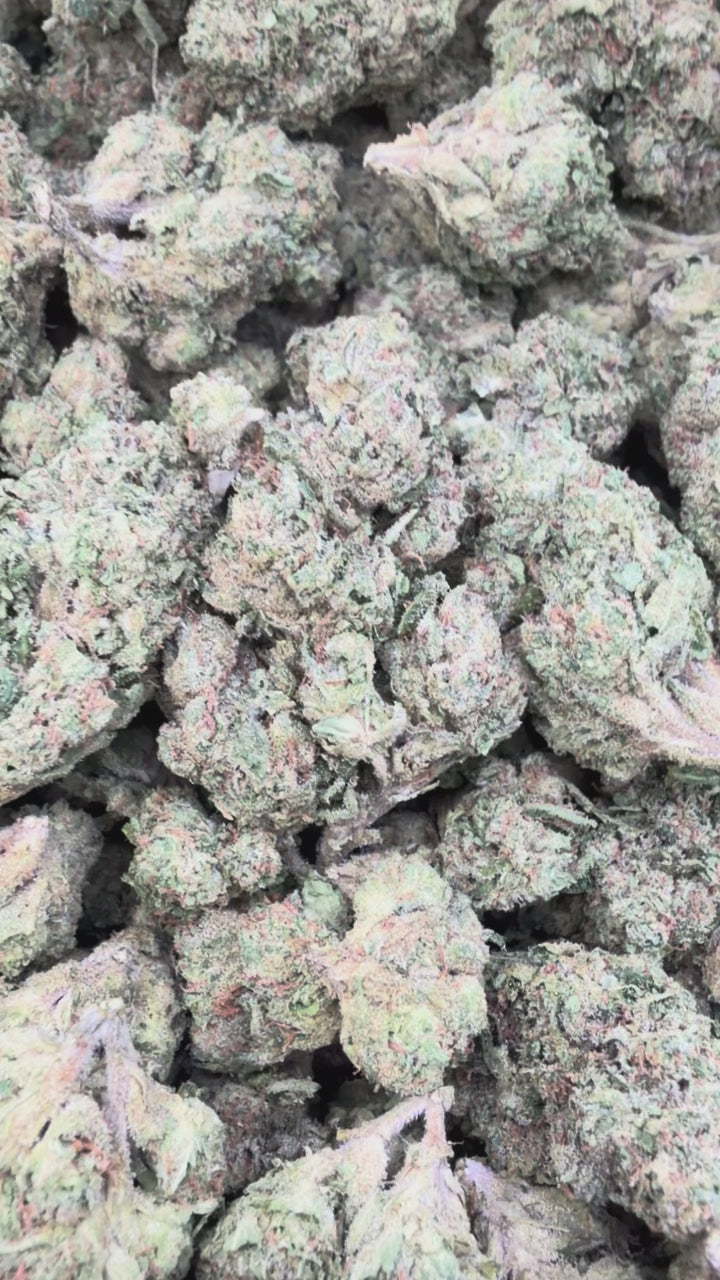 Load video: Lemon Cherry Gelato BX - Bulk - Indica