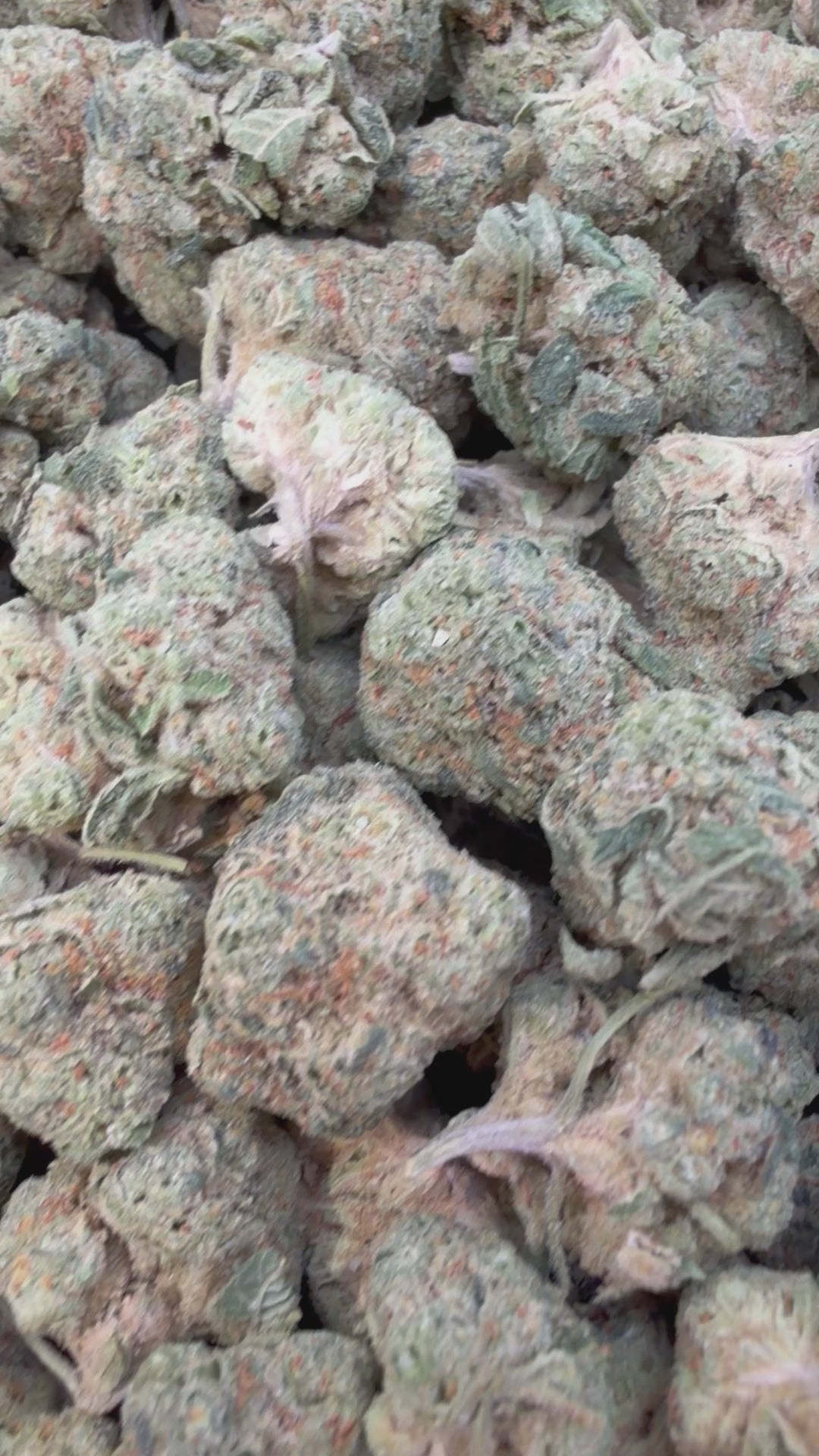 Load video: Durban Mintz Mediums - Bulk Mediums - Indica