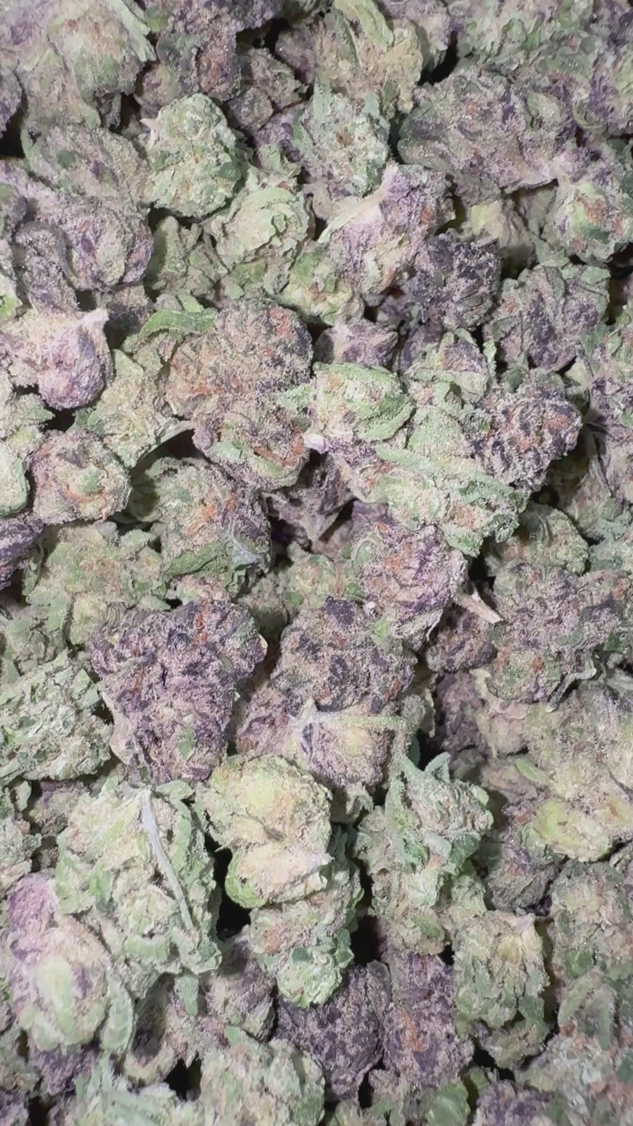 Load video: Pink Certz - Bulk Littles - Indica
