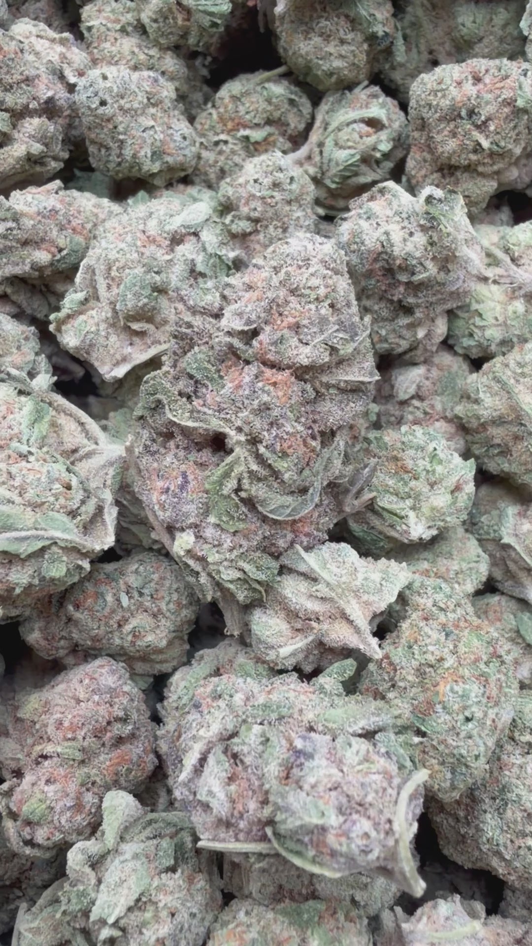 Load video: Durban Sweetz Mediums - Bulk Mediums - Sativa