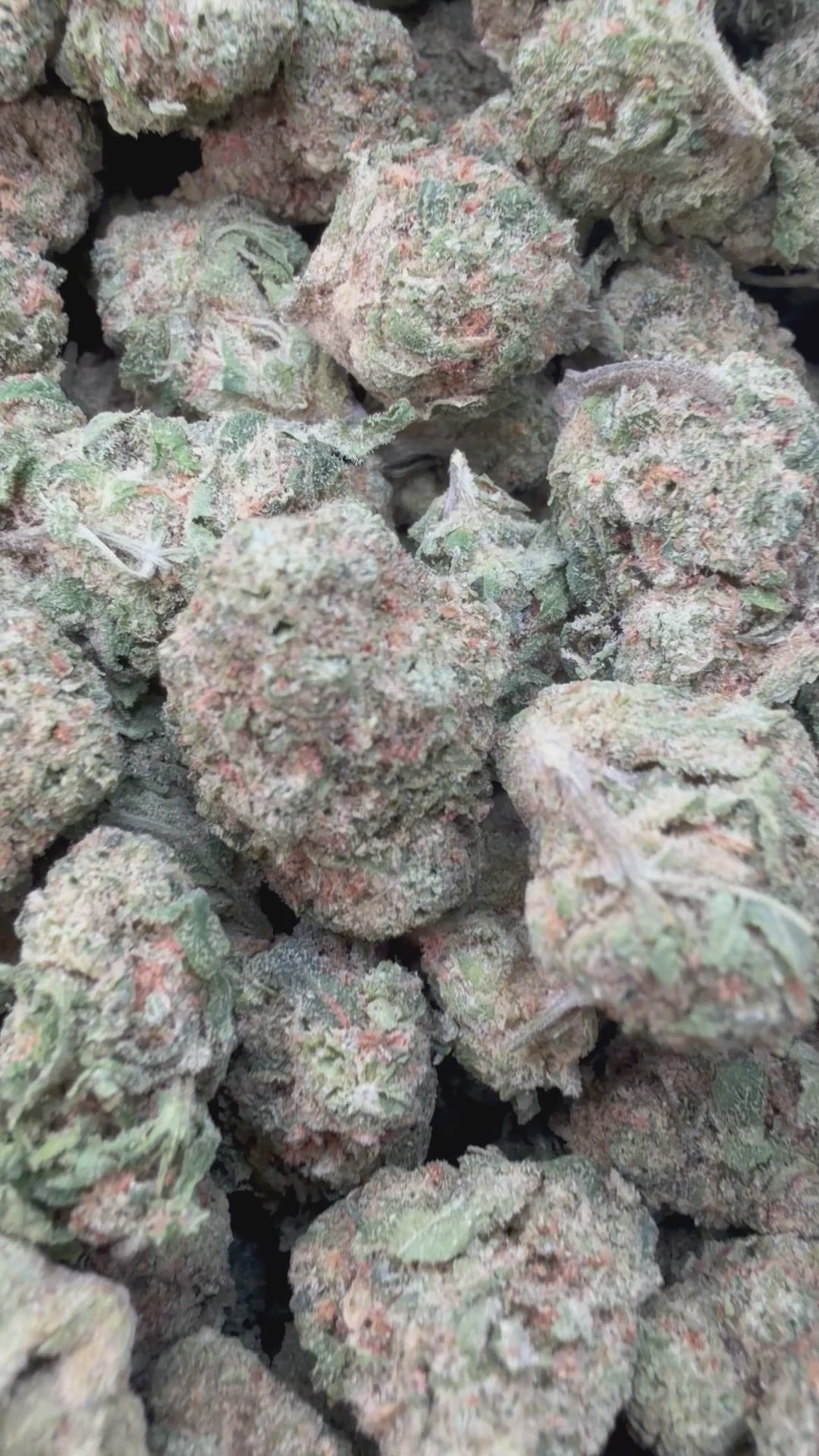 Load video: Blue Dream Mediums - Bulk Mediums - Sativa