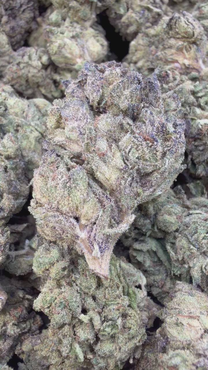 Load video: Lemon Bar Mediums - Bulk Mediums - Sativa