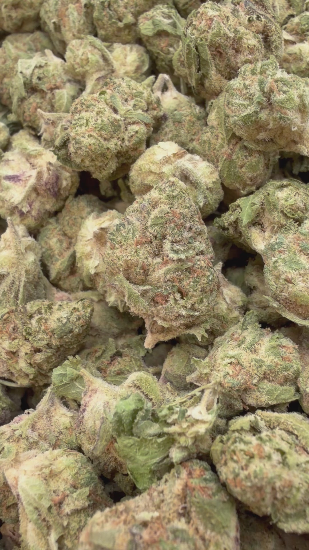 Load video: Peanut Butter Souffle Mediums - Bulk Mediums - Indica