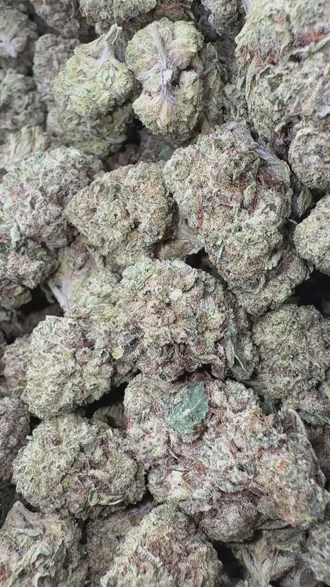 Load video: Grease Monkey - Bulk - Indica